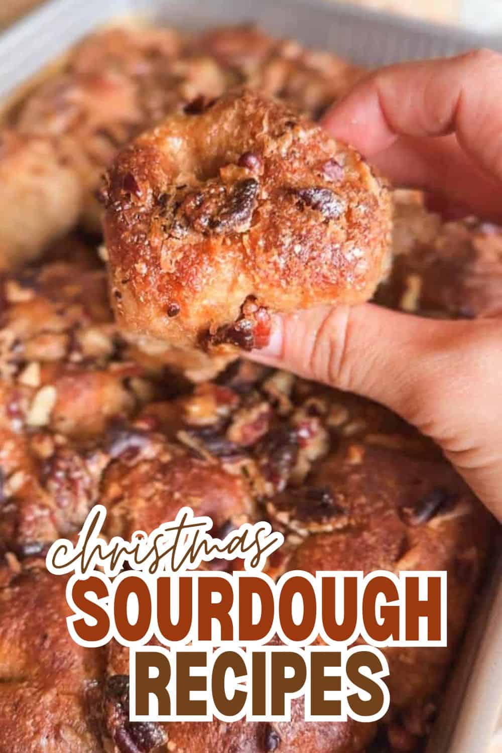 Close-up of a hand holding a freshly baked sourdough bread roll with chocolate chips.