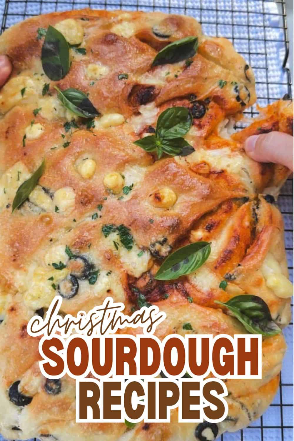 Close-up of a Christmas sourdough pizza with cheese, olives, and basil.