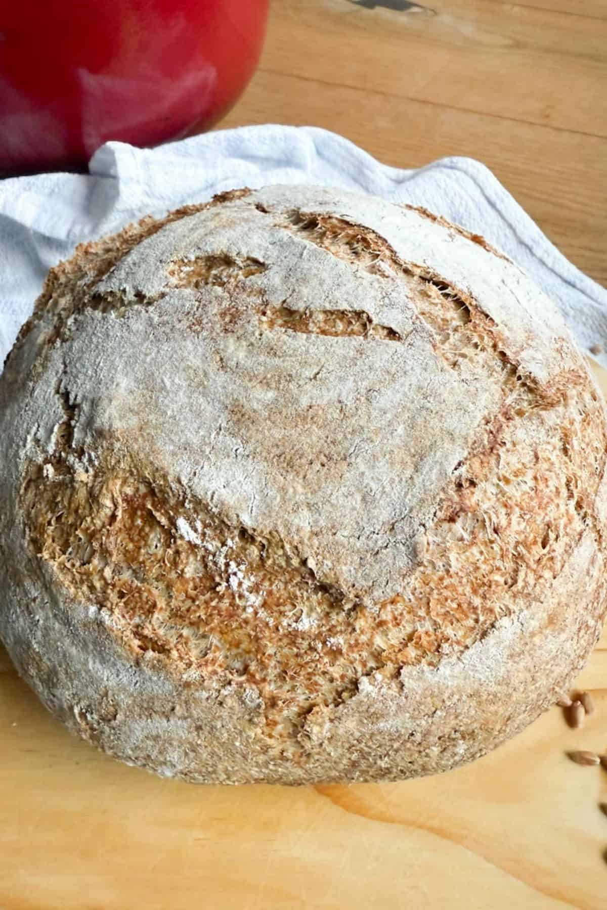 Handcrafted sourdough bread showing stretch and fold technique.