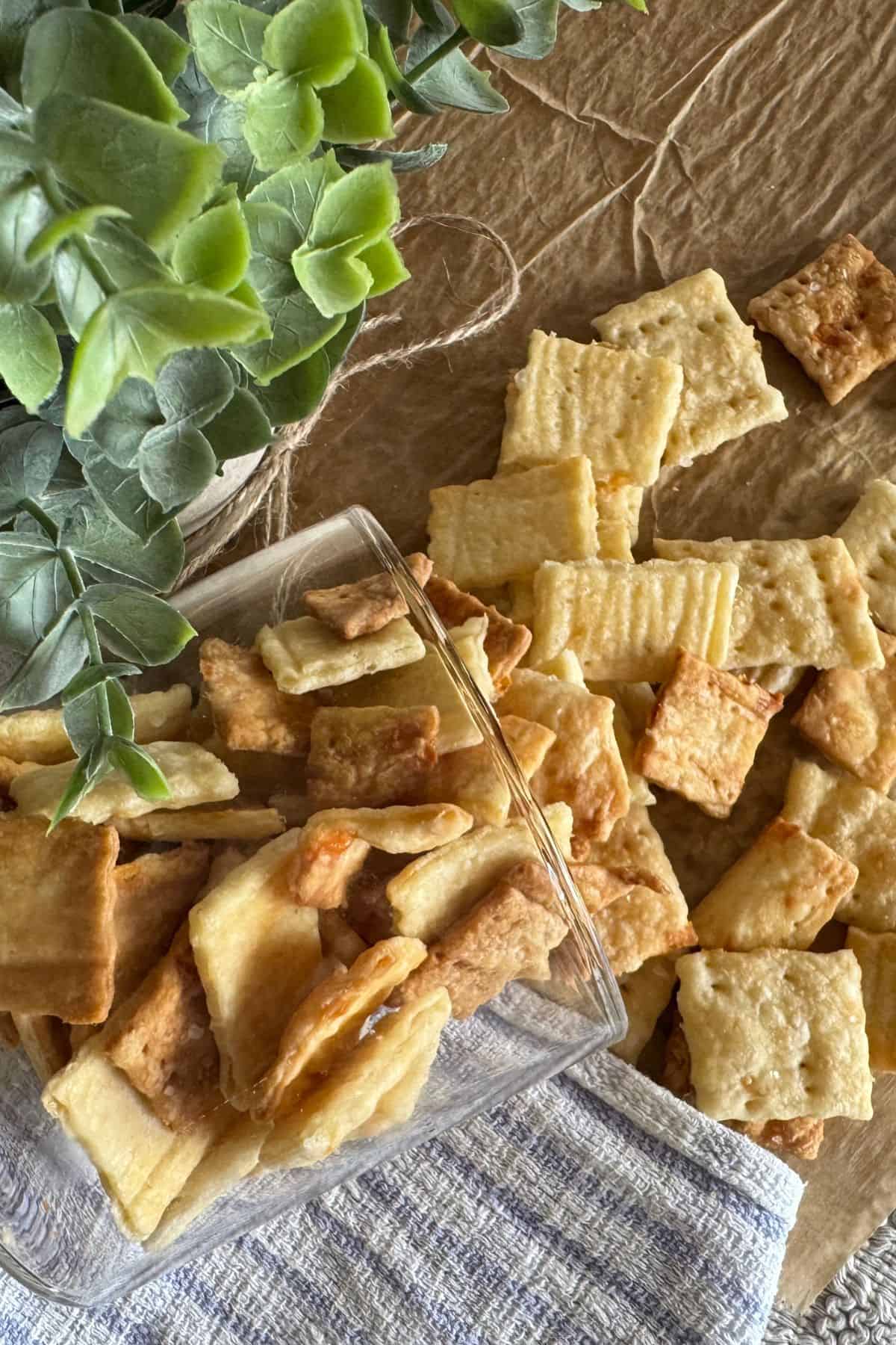 Crispy sourdough crackers arranged on a surface with decorative plants on the side.