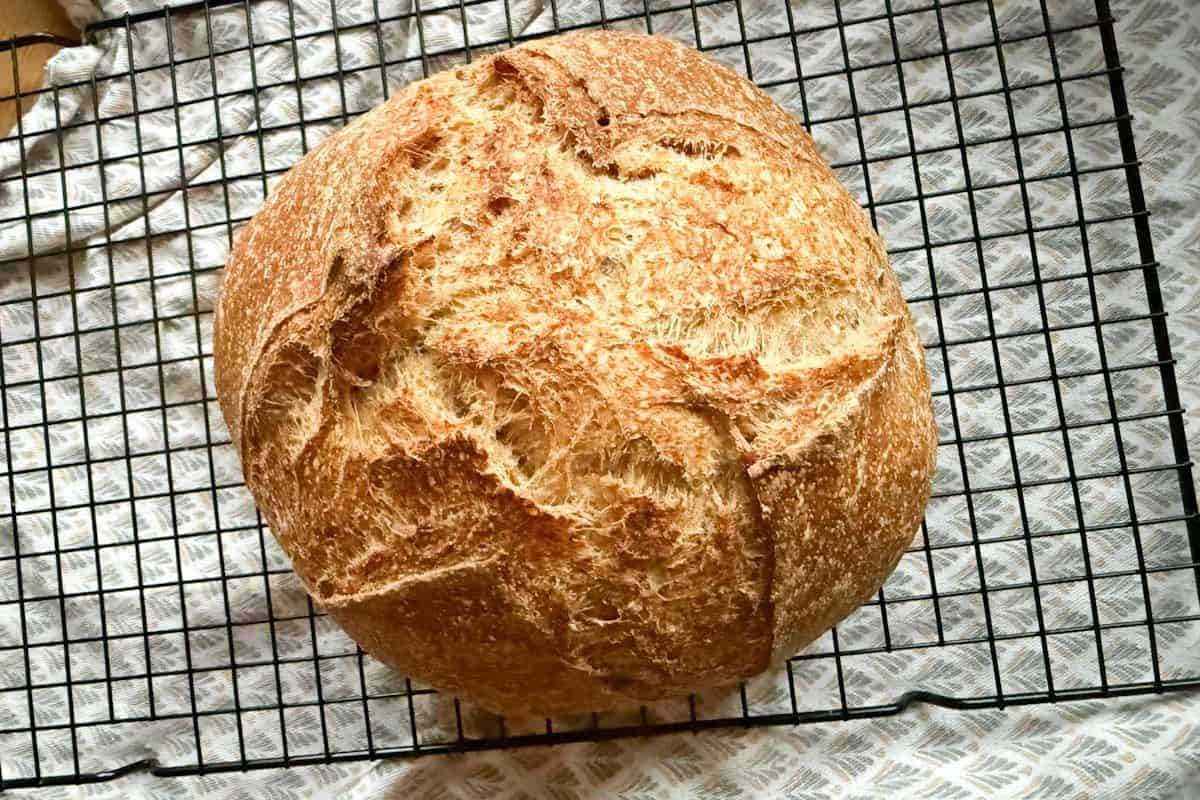 Freshly baked rustic bread with crunchy crust, made from freshly milled grains. Perfect for homemade baking.