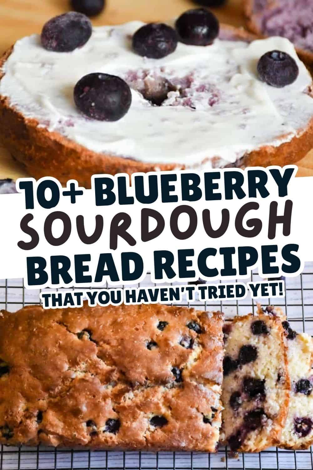 Fresh blueberry sourdough bread with creamy topping and blueberries. Perfect for breakfast or snack. Easy blueberry sourdough recipe.