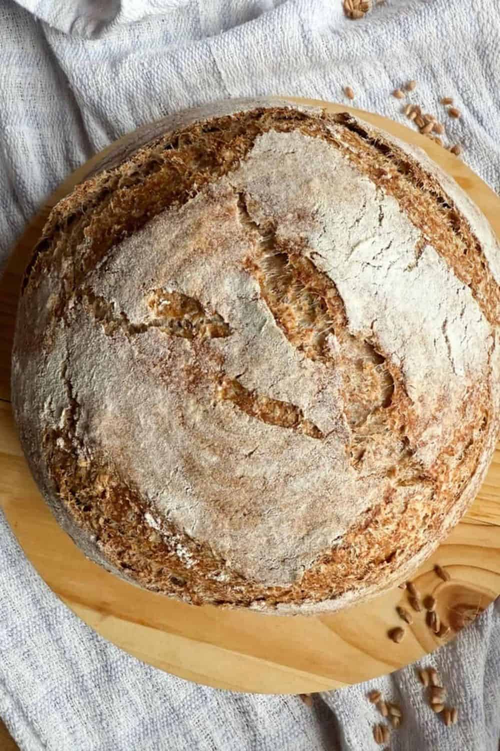 Freshly baked sourdough loaf showcasing crusty texture, ideal for bread lovers.