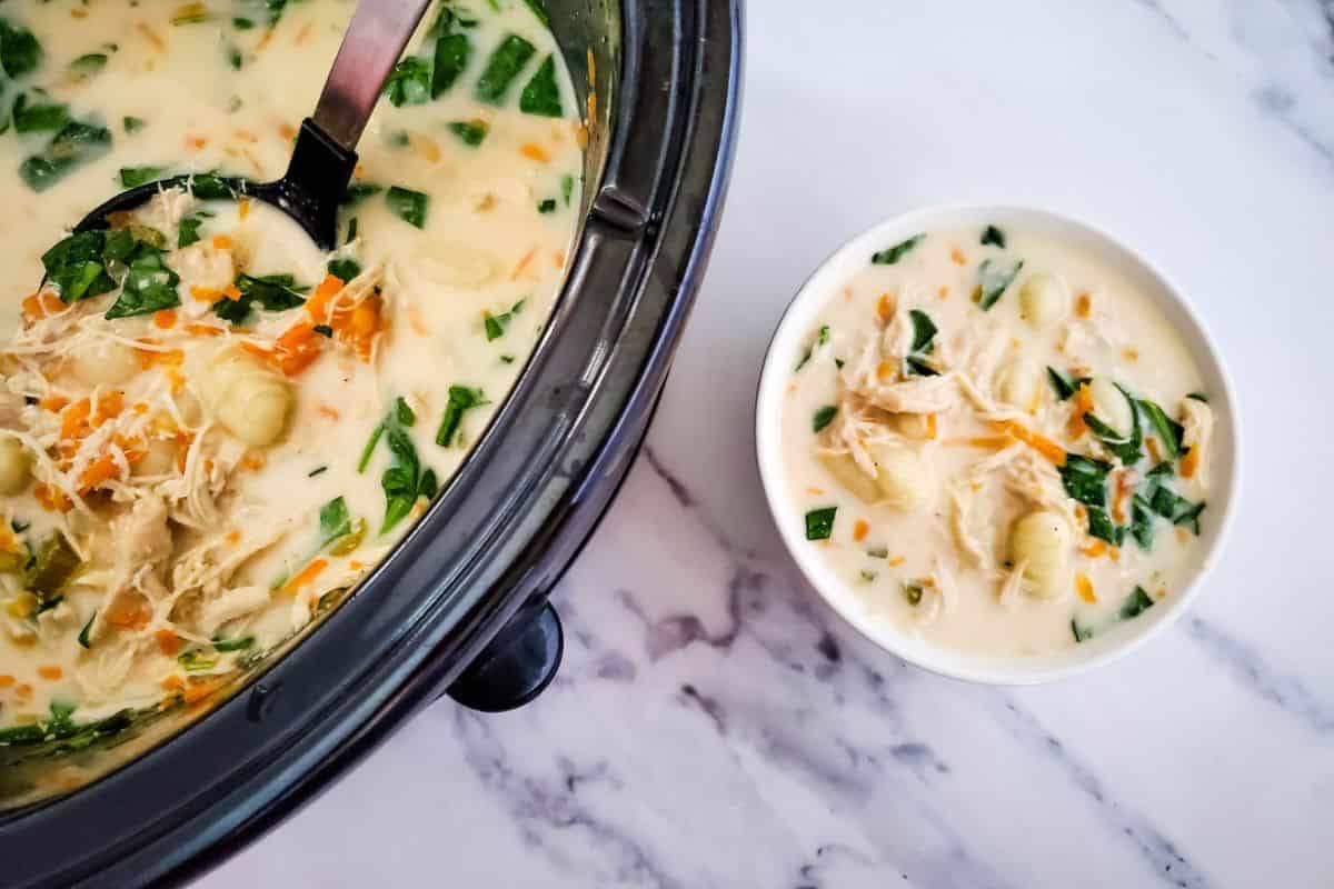 Creamy chicken vegetable soup in a crockpot and bowl, with shredded chicken, carrots, green onions, and herbs.