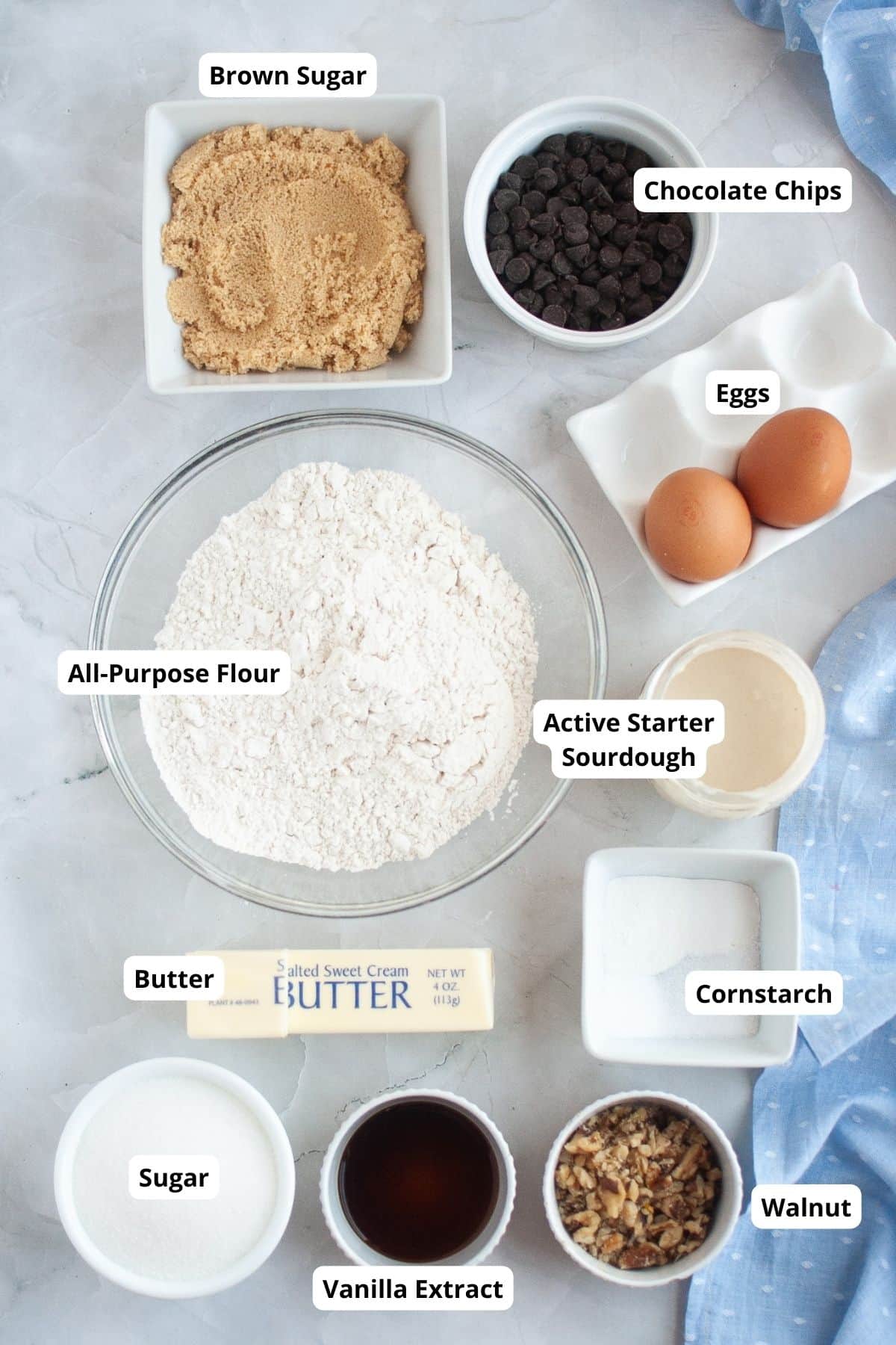 Delicate bread dough preparation with all-purpose flour, active starter sourdough, and toppings like chocolate chips and walnuts.