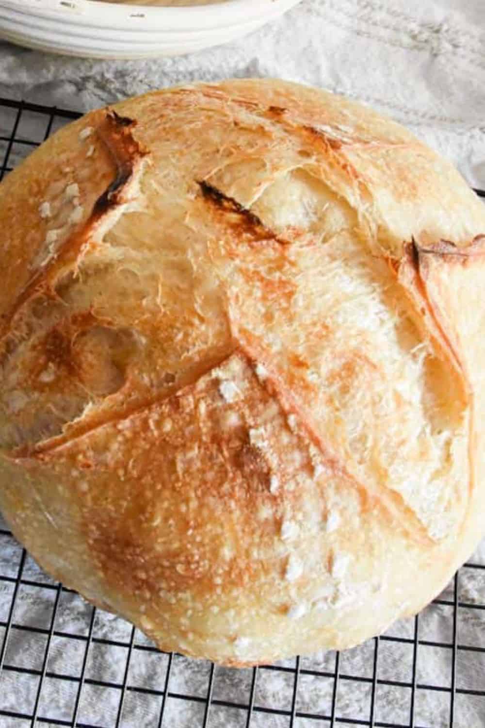 Artisan bread with a rustic crust, perfect for baking enthusiasts.