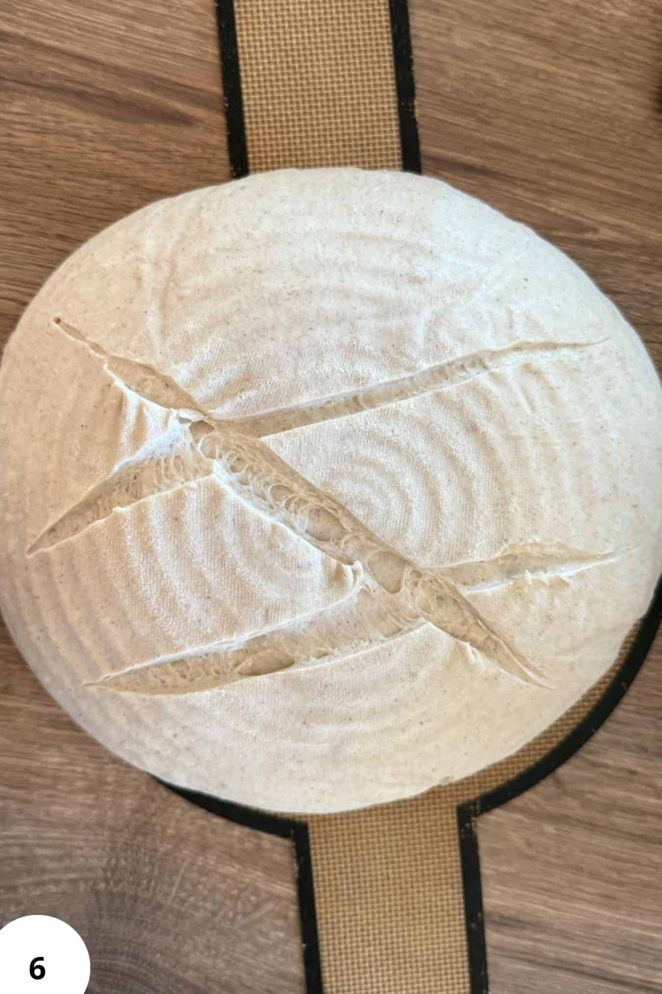 Freshly baked buckwheat sourdough bread with scoring, on a banneton basket.