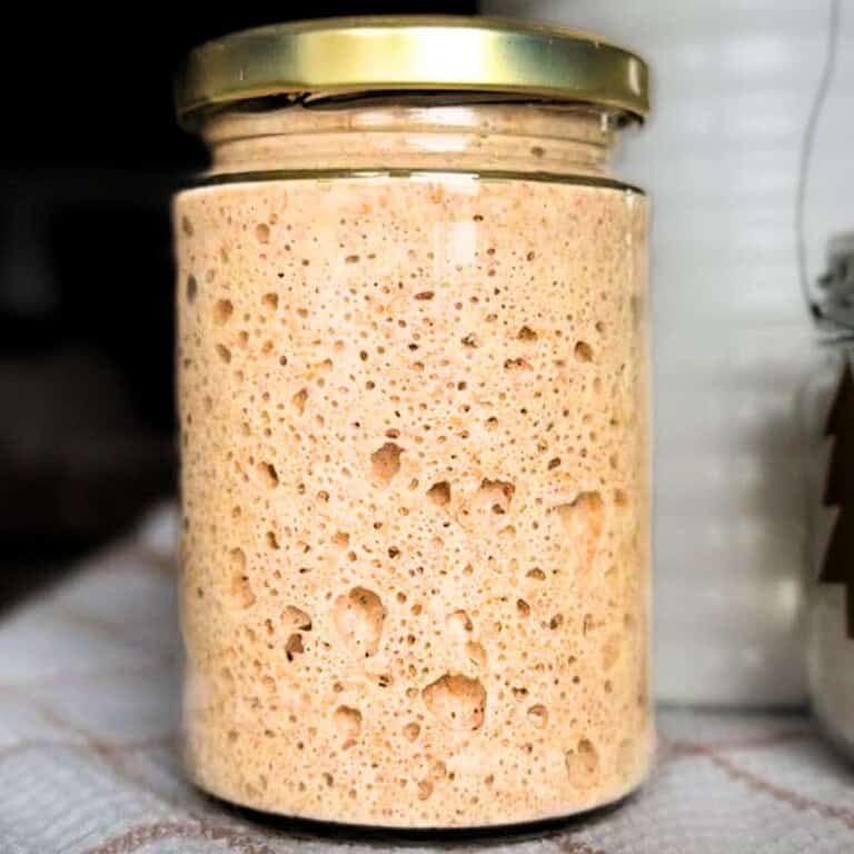 Fermentation jar with bubbly sourdough starter for baking.
