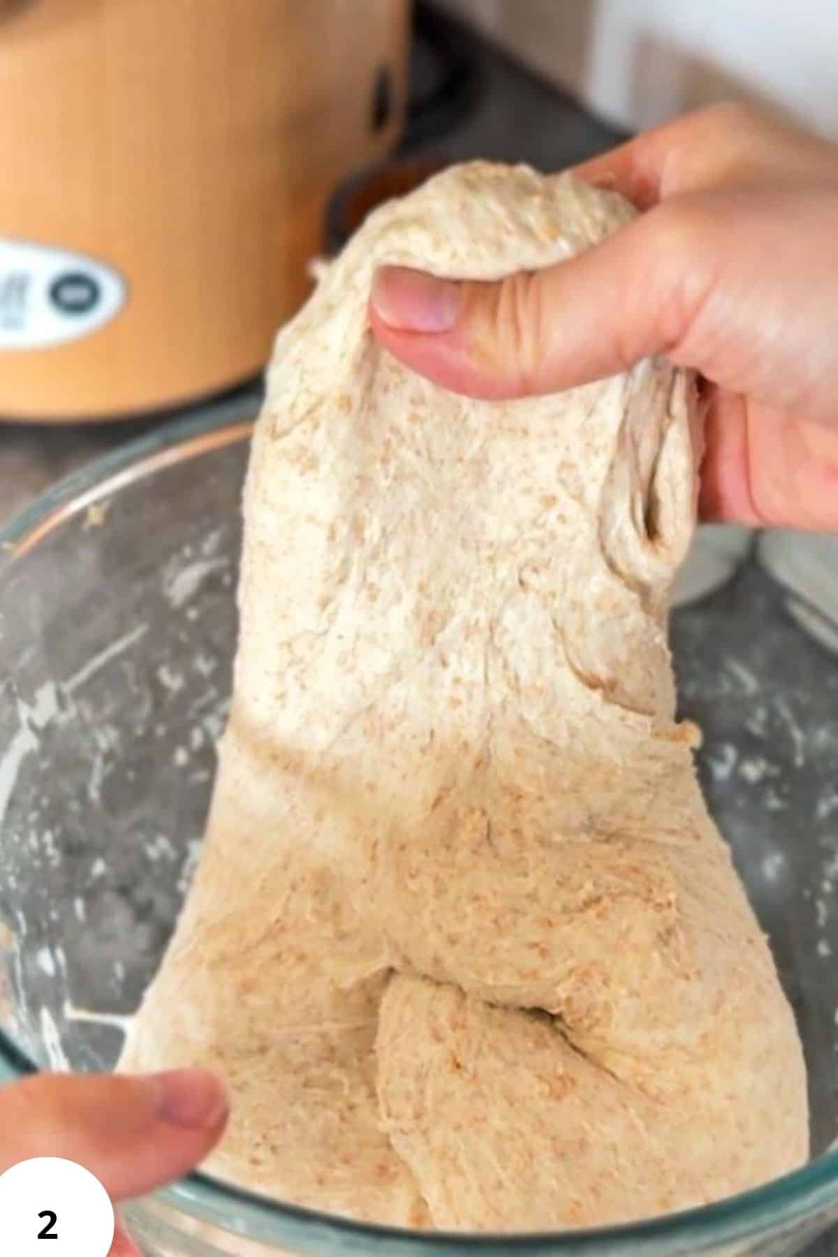 Hand stretching sourdough spelt dough during stretch and fold process.
