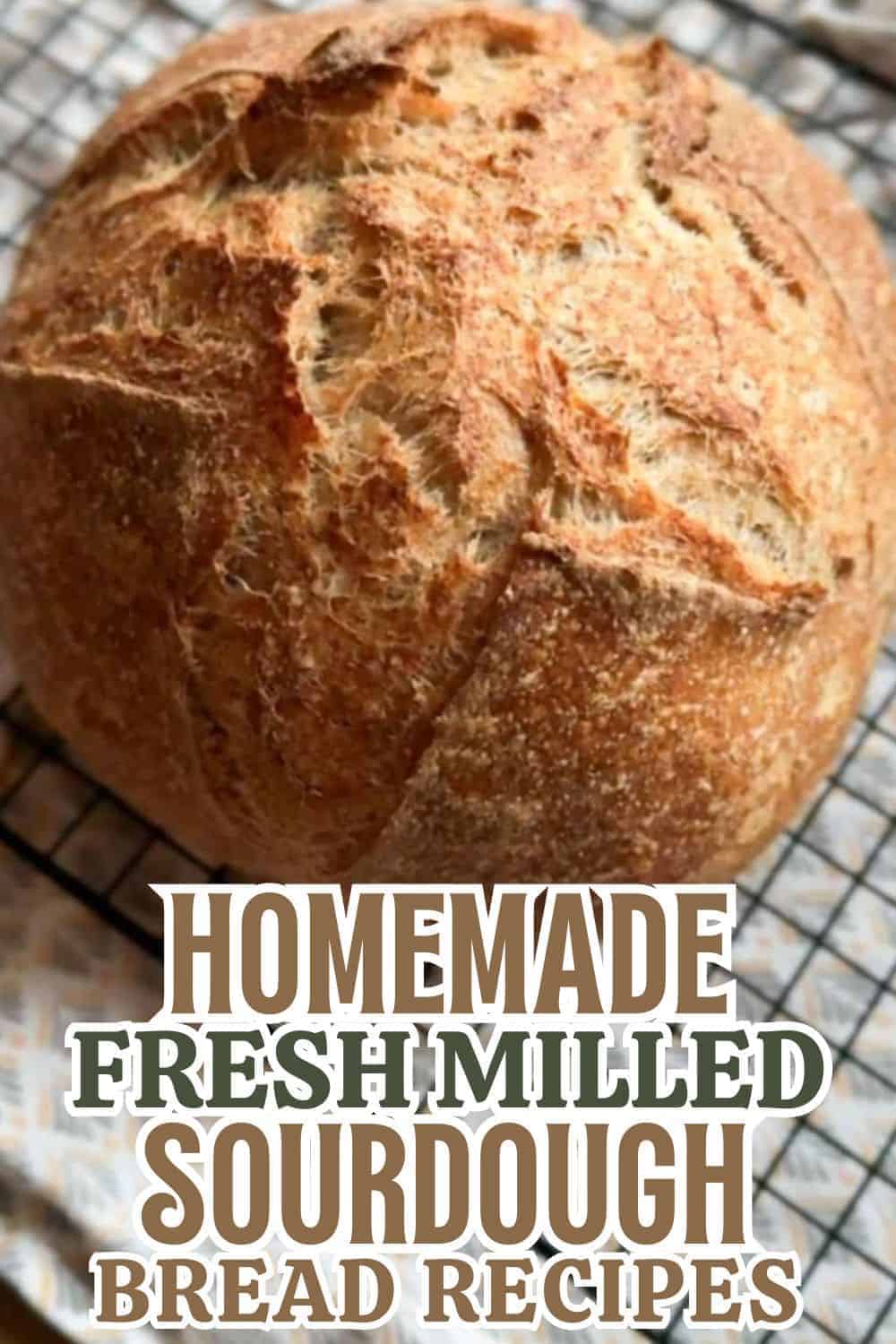 Freshly baked homemade sourdough bread made with freshly milled grains.