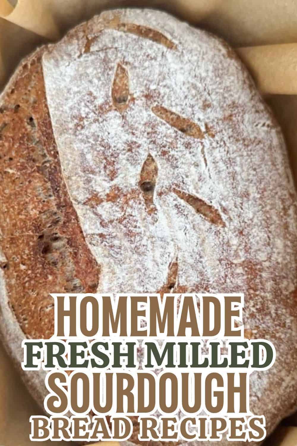 Freshly baked homemade sourdough bread made with fresh milled flour.