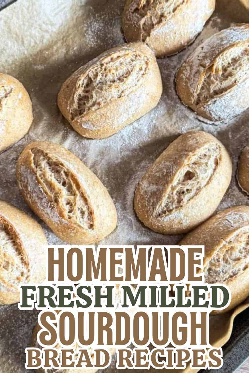 Freshly baked sourdough bread rolls made with homemade milled flour.