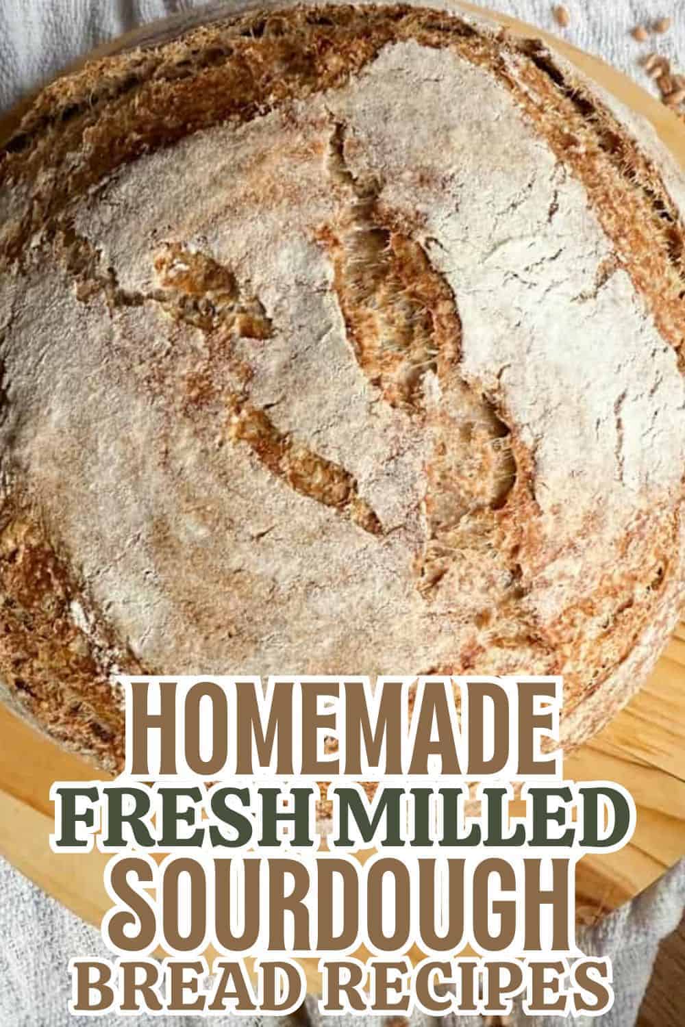 Freshly baked homemade sourdough bread with a rustic crust and flour dusting, perfect for healthy br.