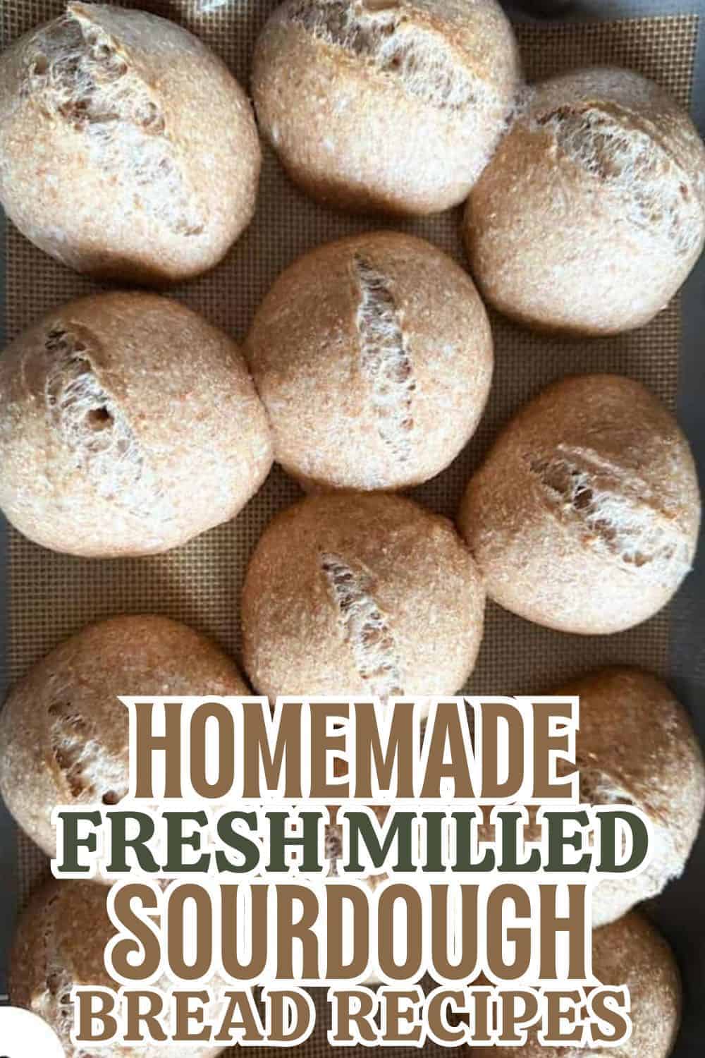 Freshly baked homemade sourdough bread rolls on a baking sheet.