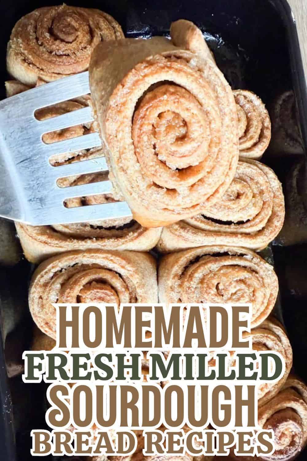 Freshly baked homemade sourdough bread rolls with a rustic appearance.
