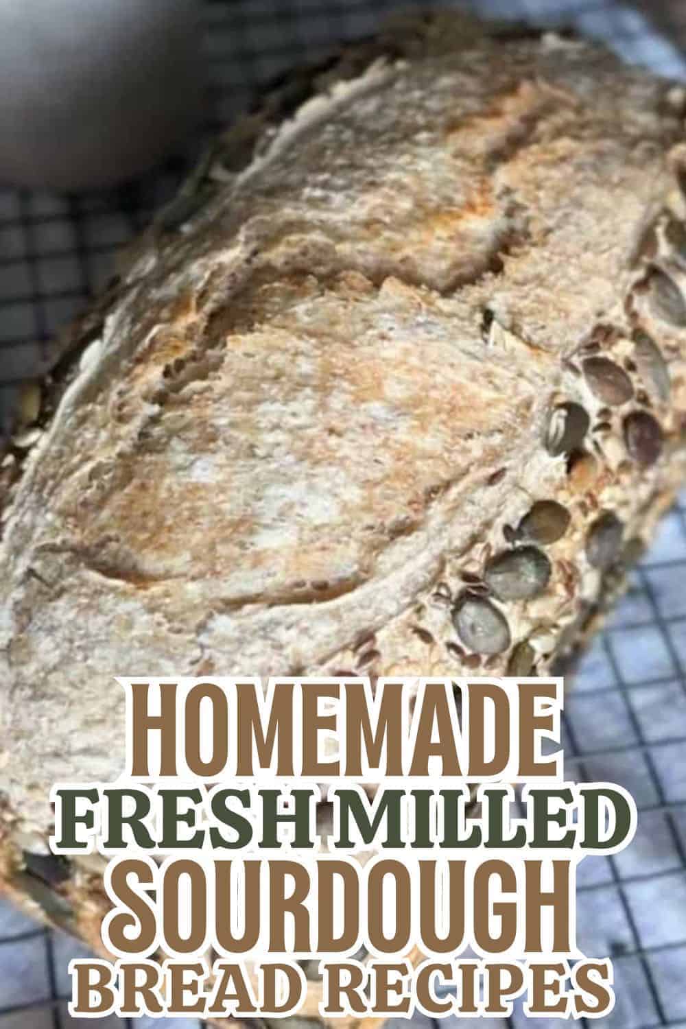 Freshly baked homemade sourdough bread made with milled grains, crusty and rustic.