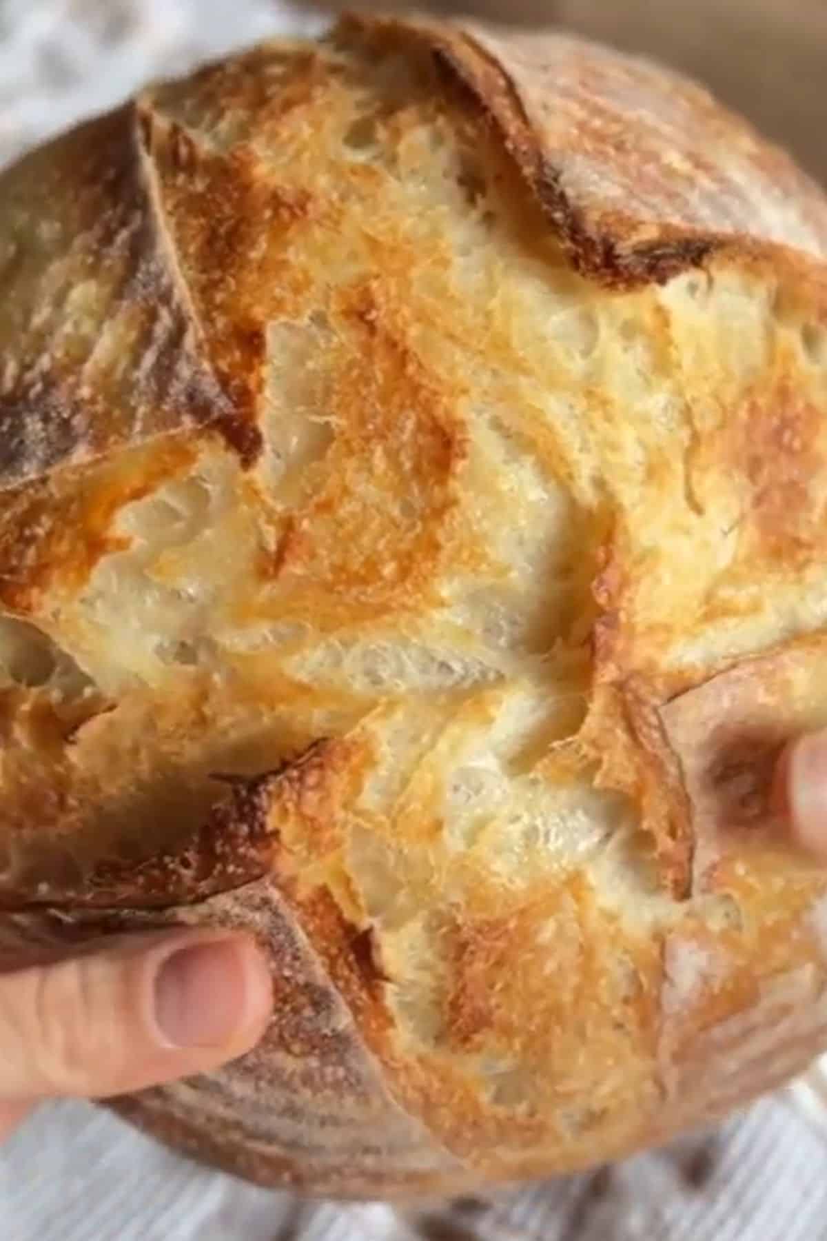 Golden crusted sourdough loaf showing the stretch and fold technique for perfect fermentation.