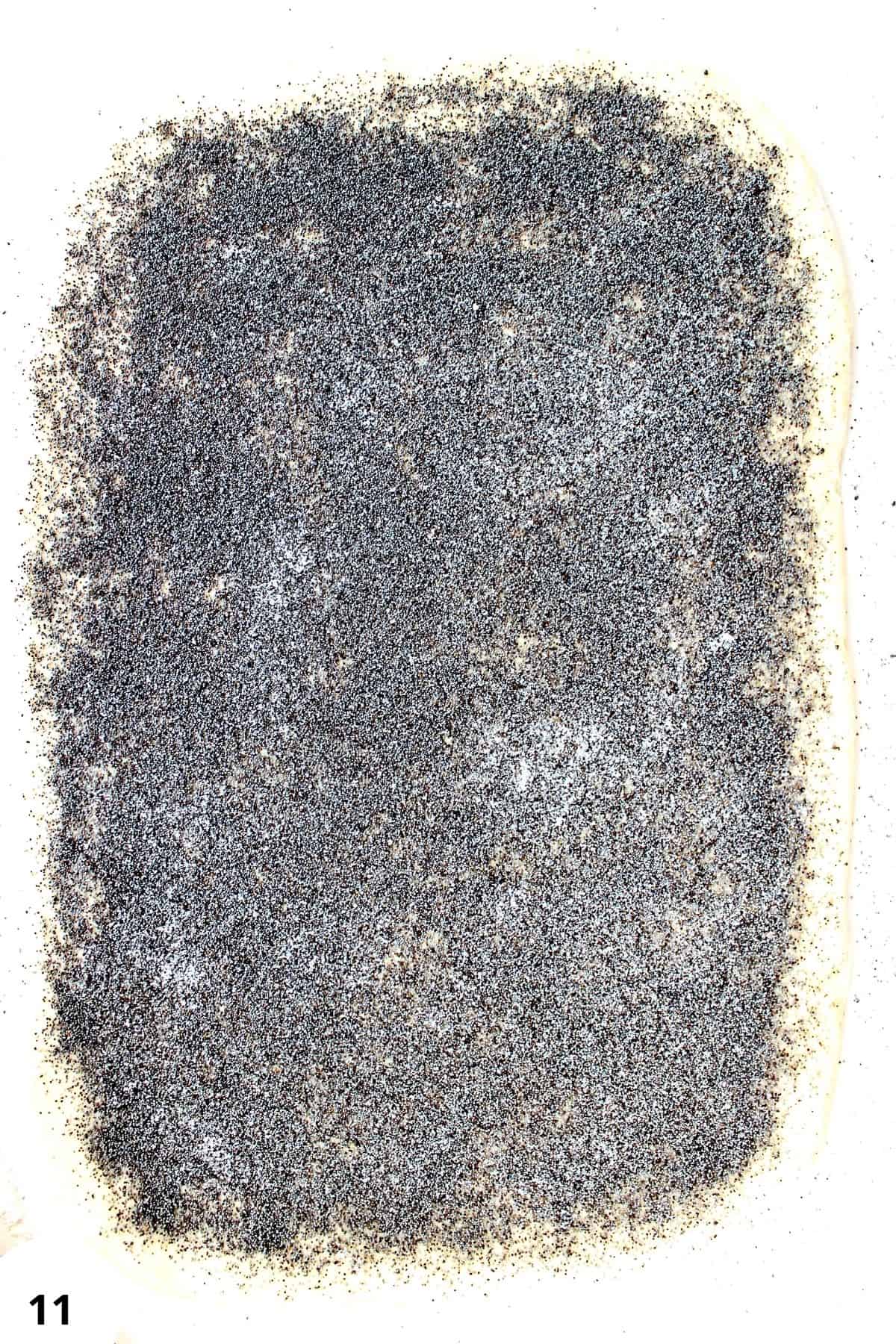 Sourdough bread dough with poppy seeds for crust.