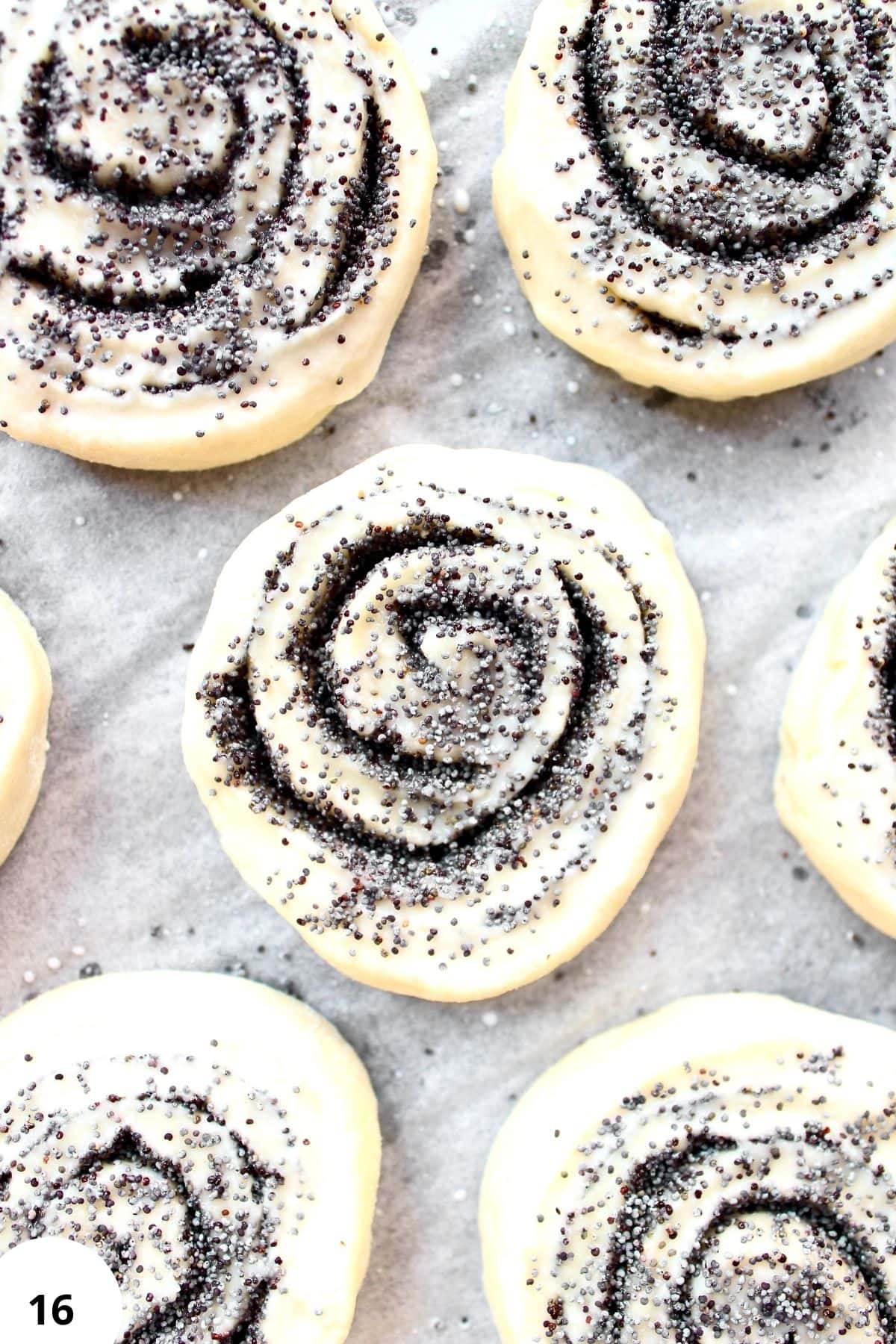 Fresh sourdough rolls topped with poppy seeds, perfect for baking and bread making.
