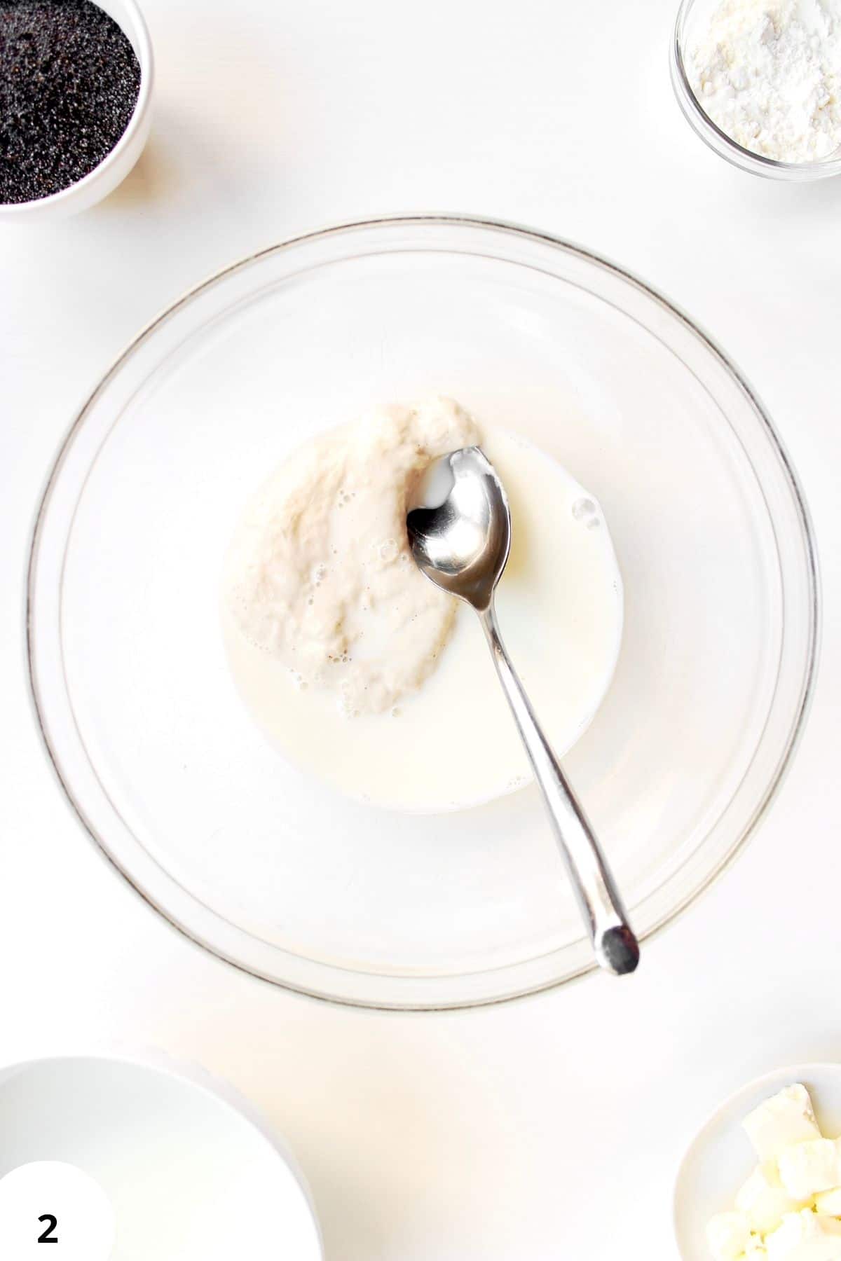 Sourdough bread dough undergoing stretch and fold technique for gluten development.