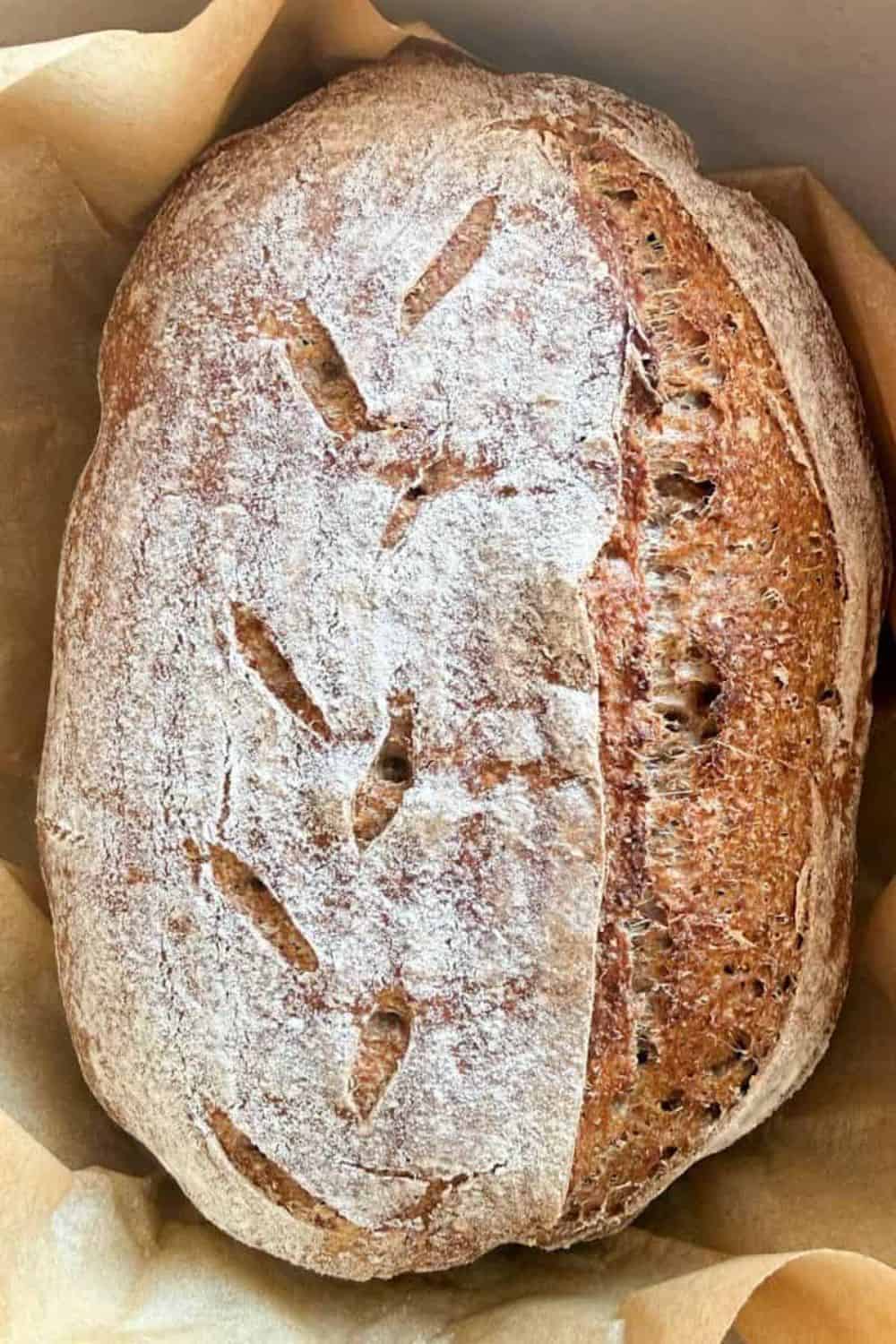 Fresh sourdough bread with artistic scoring on top.