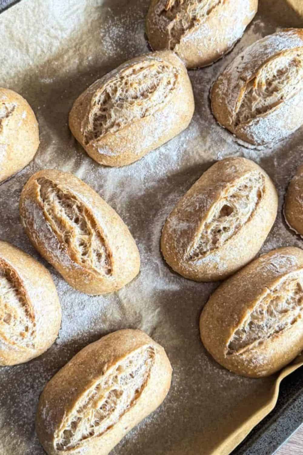 Bread rolls for artisanal baking and bread making.