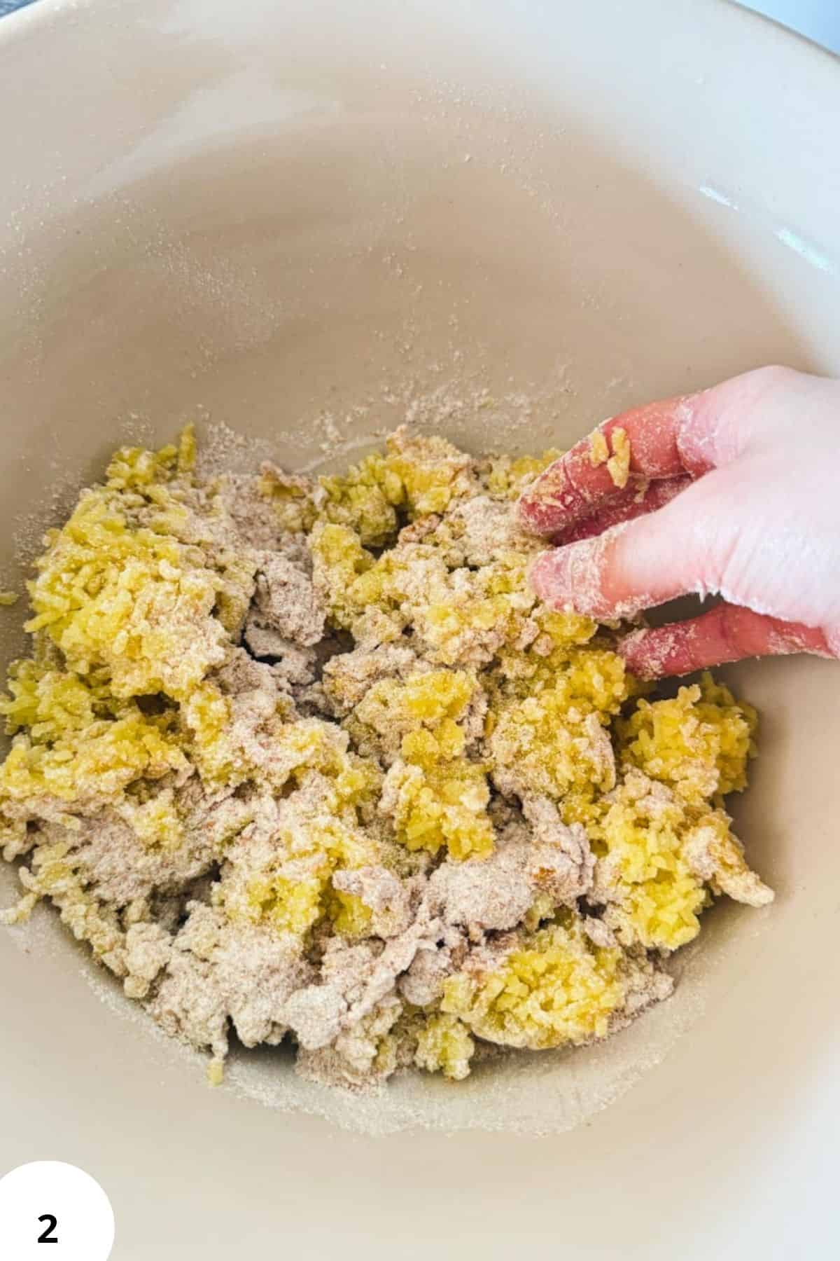 Homemade gnocchi dough made with fresh-milled flour and potatoes, ready to be shaped and cooked.