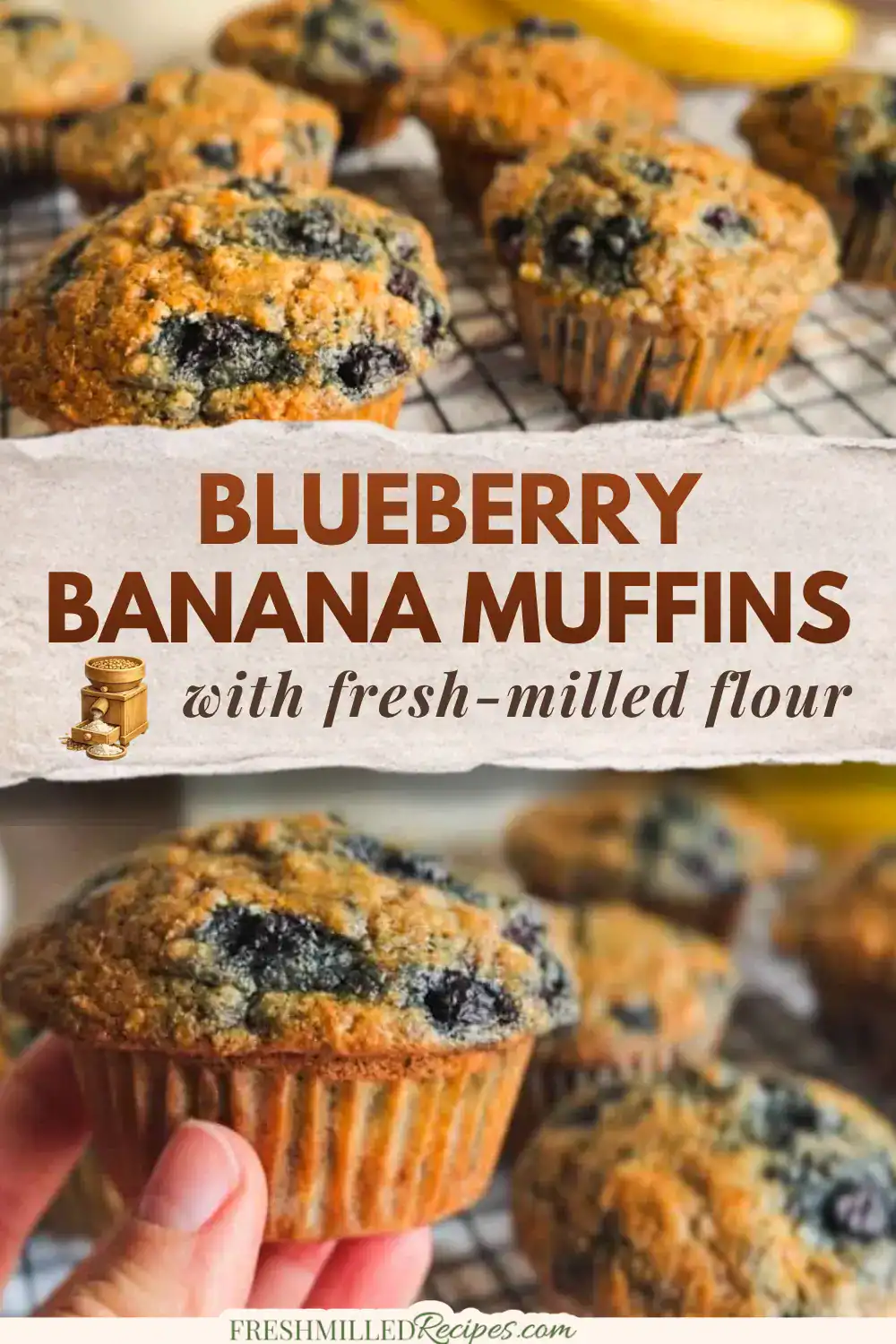 Delicious blueberry banana muffins made with fresh-milled flour, perfect for healthy breakfast or sn.