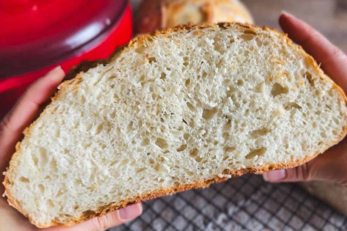 Close-up of hybrid sourdough bread slice showing airy crumb and crust.