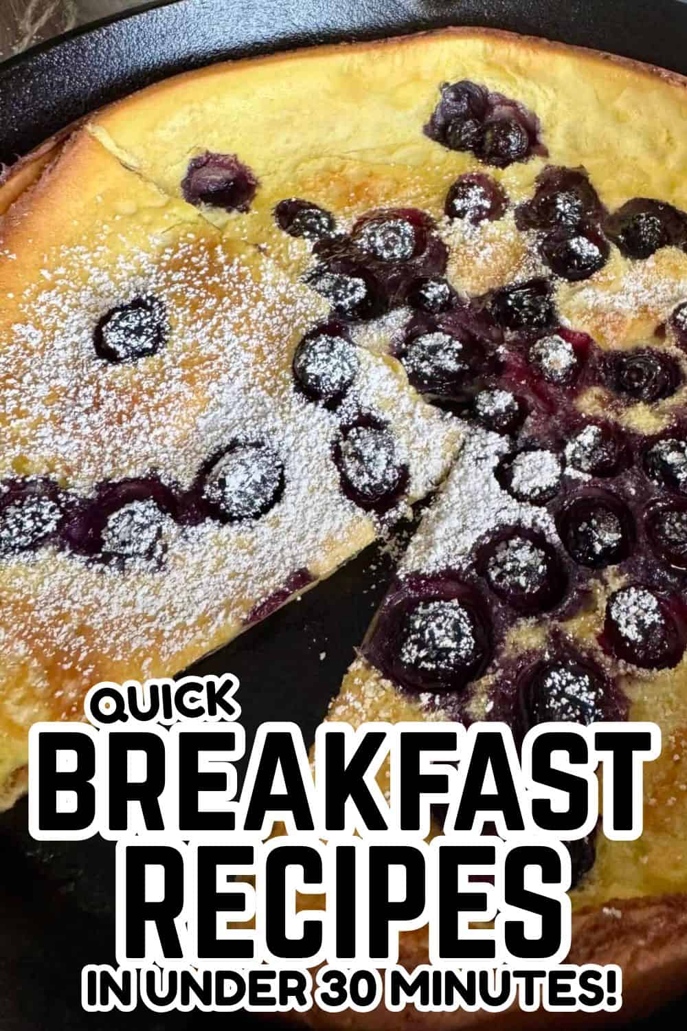 Quick bread dough with blueberries and powdered sugar.