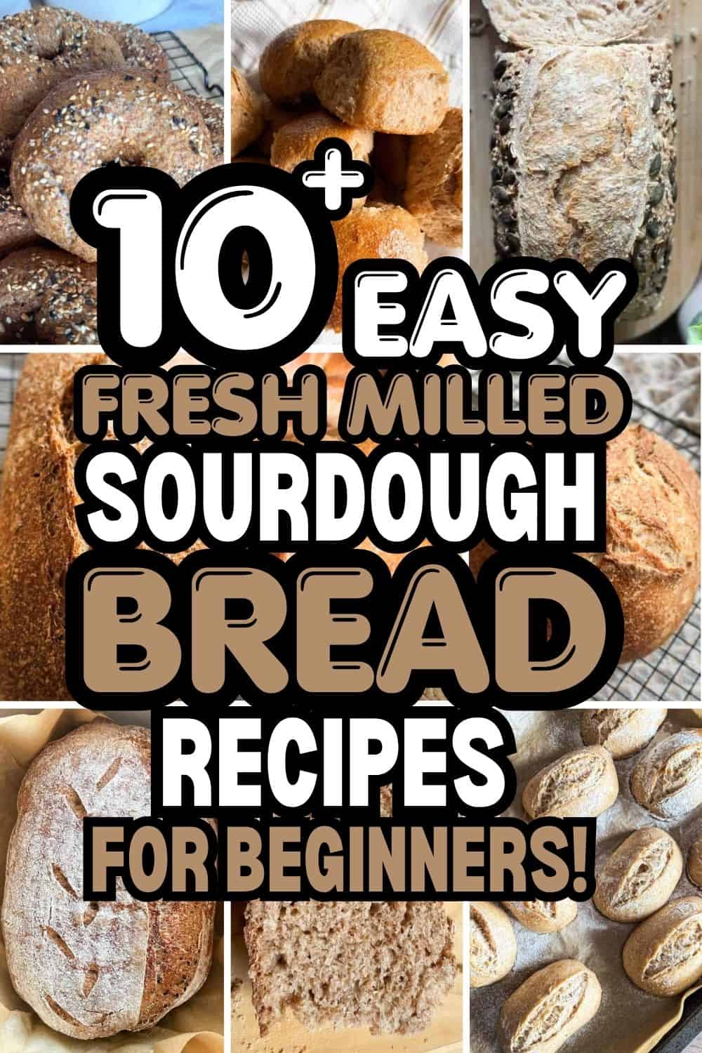 Sourdough bread dough being stretched and folded for fermentation.
