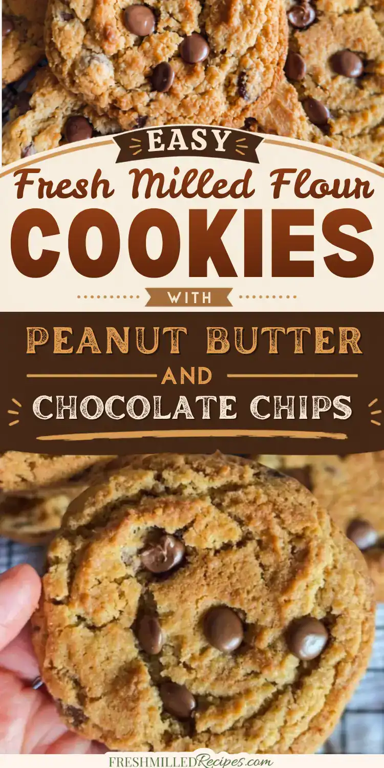 Delicious homemade cookies made with fresh milled flour, peanut butter, and chocolate chips. Perfect.