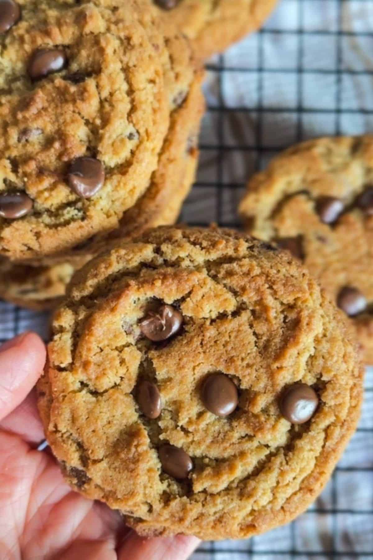 Close-up of a peanut butter chocolate chip cookie with a bite taken out.