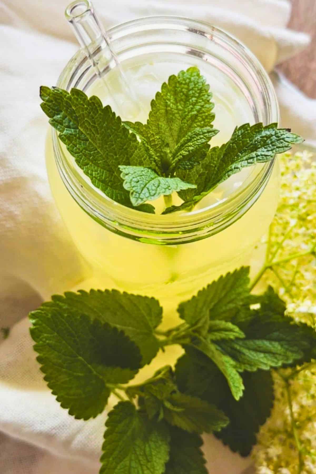 Fresh mint leaves in a glass jar, ideal for herbal infusions and cooking.