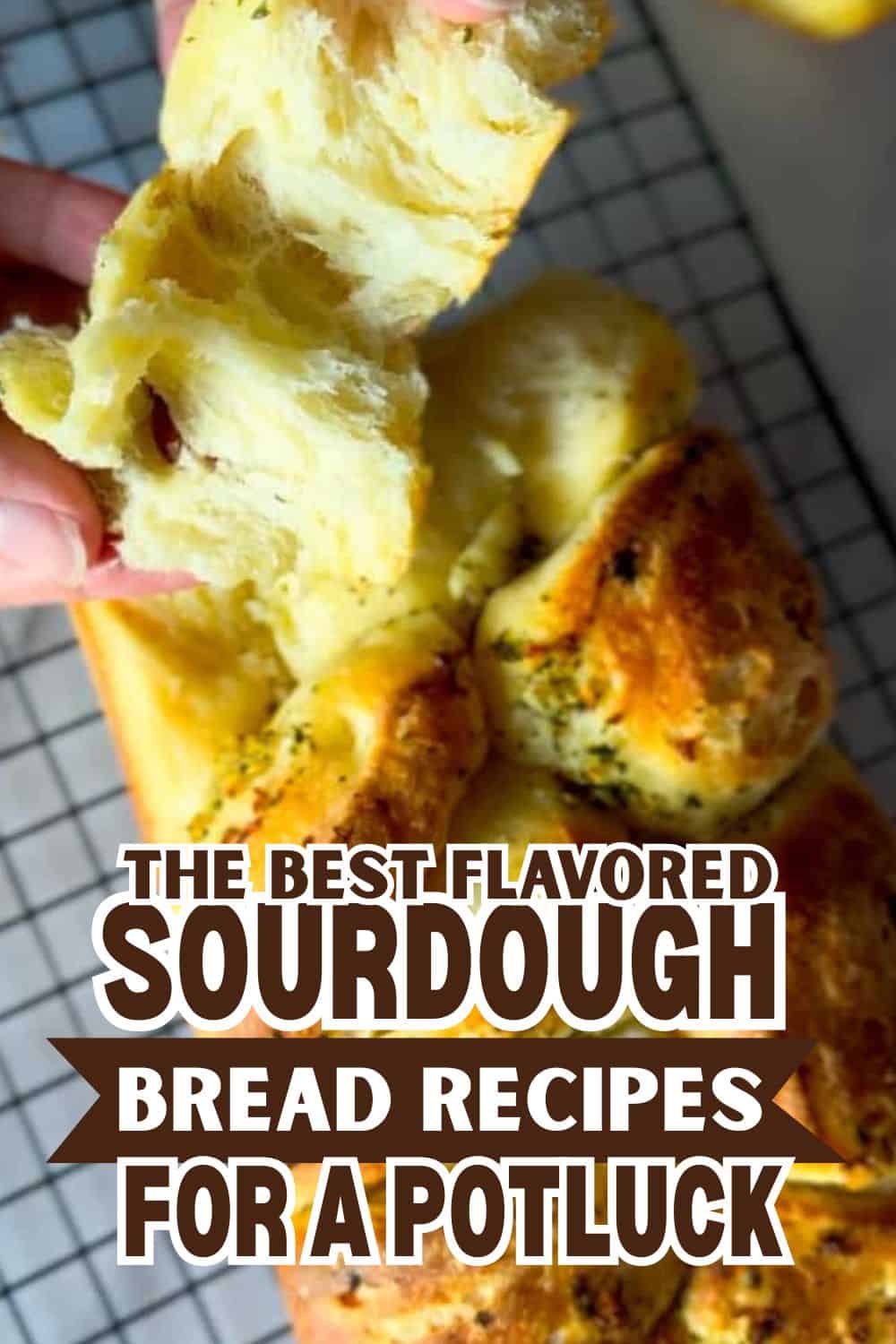 Freshly baked sourdough bread with a golden crust and airy interior.