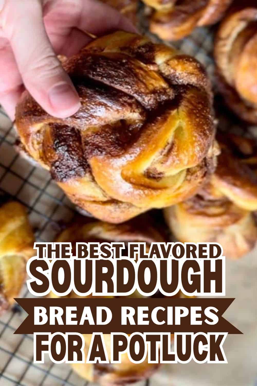 Sourdough bread roll with a crispy crust, perfect for bread baking and potluck recipes.