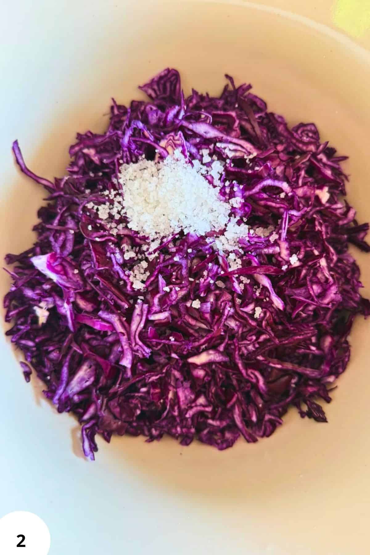 Bright purple shredded cabbage with salt and seasoning in a white bowl.