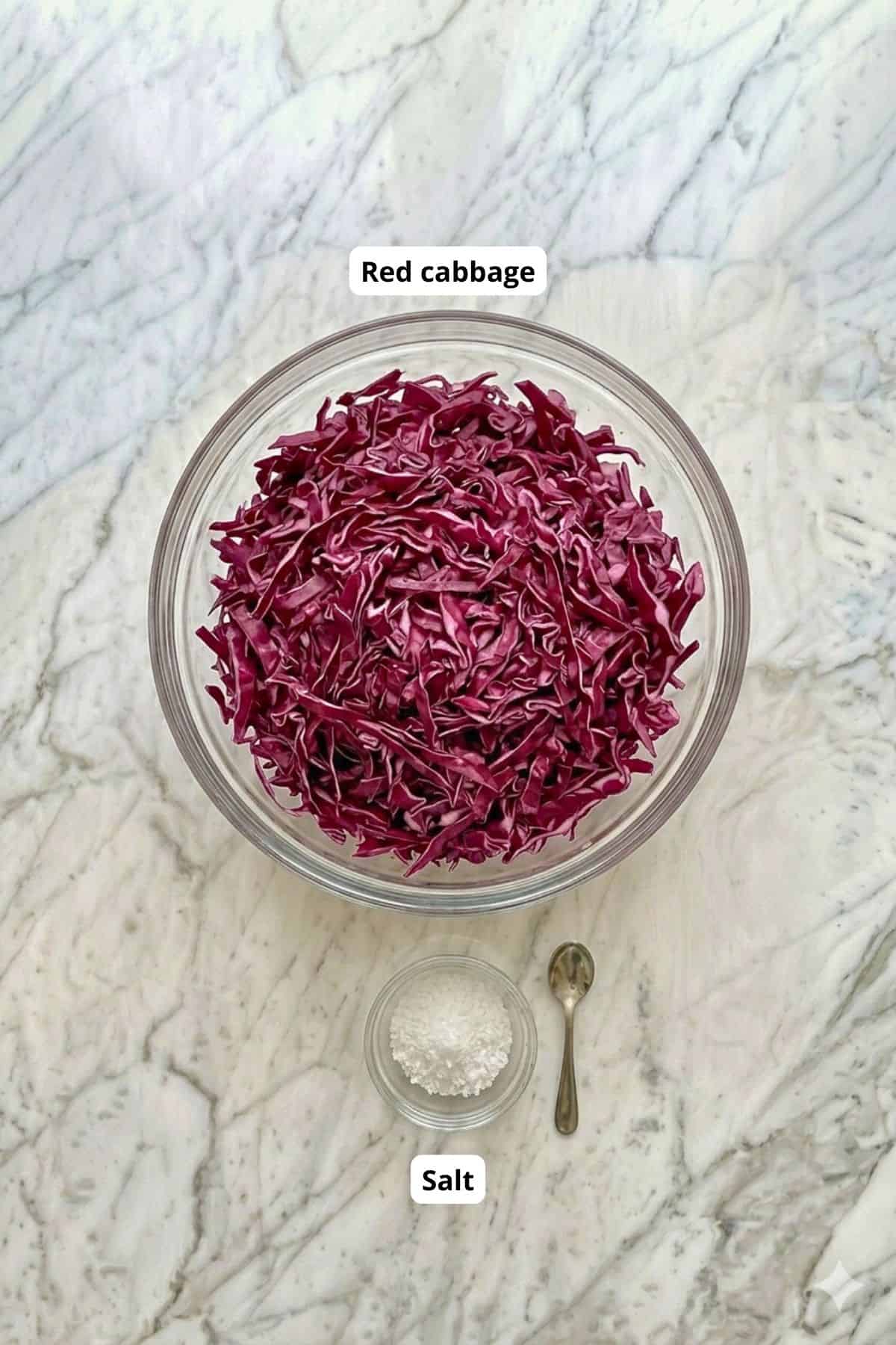 Fresh red cabbage in a glass bowl with salt on a marble surface, ready for fermentation.