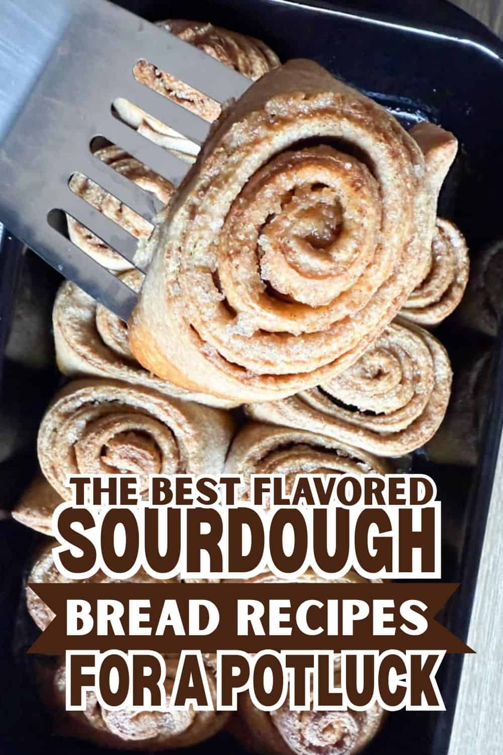 Freshly baked sourdough bread rolls with a spiral shape.