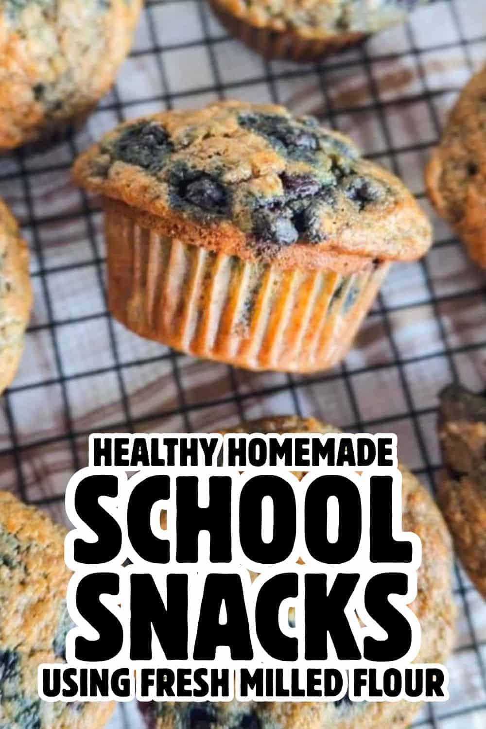 Blueberry muffin made with fresh milled flour and blueberries.
