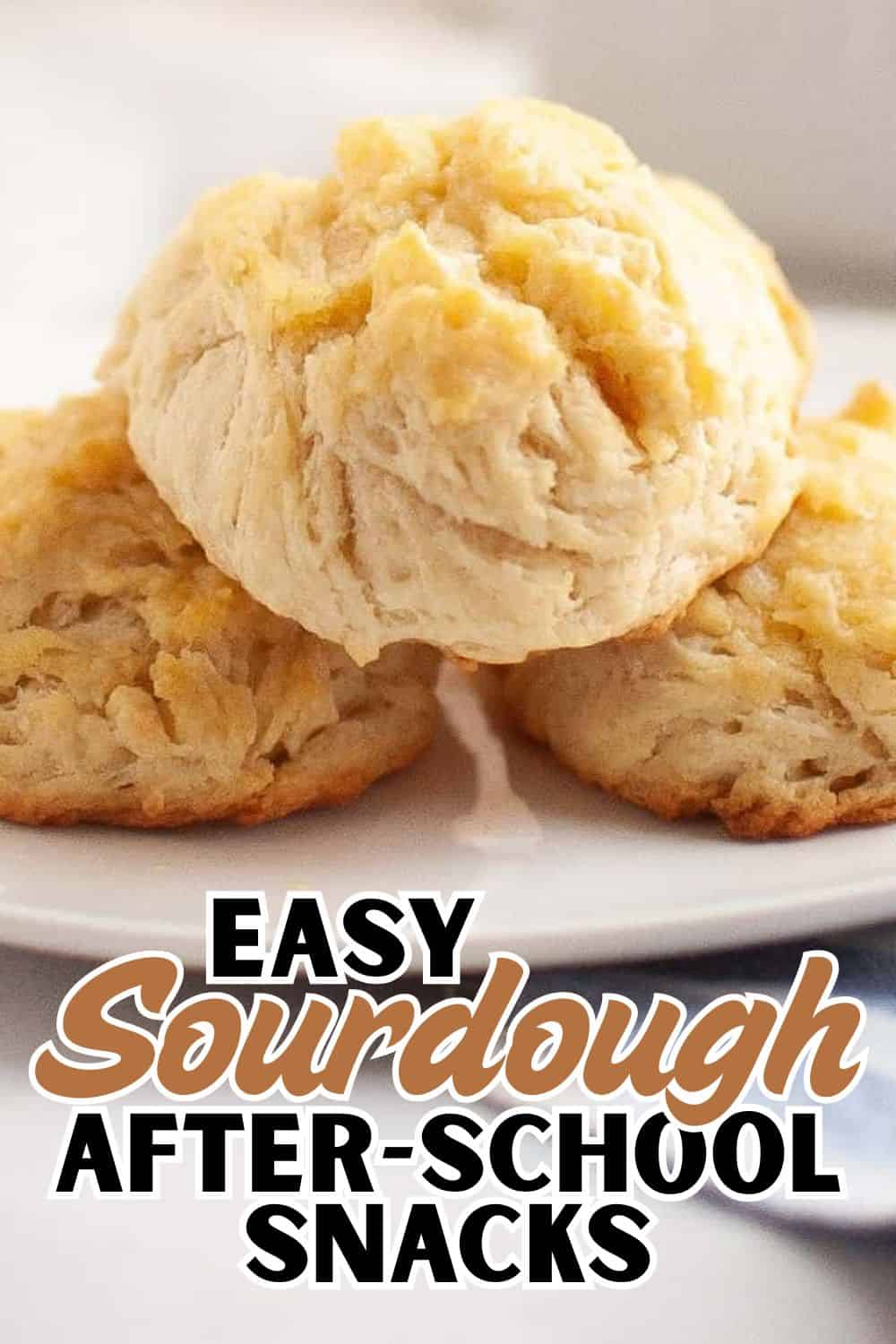 Freshly baked sourdough cookies with a golden crust and soft interior, perfect for snacks.