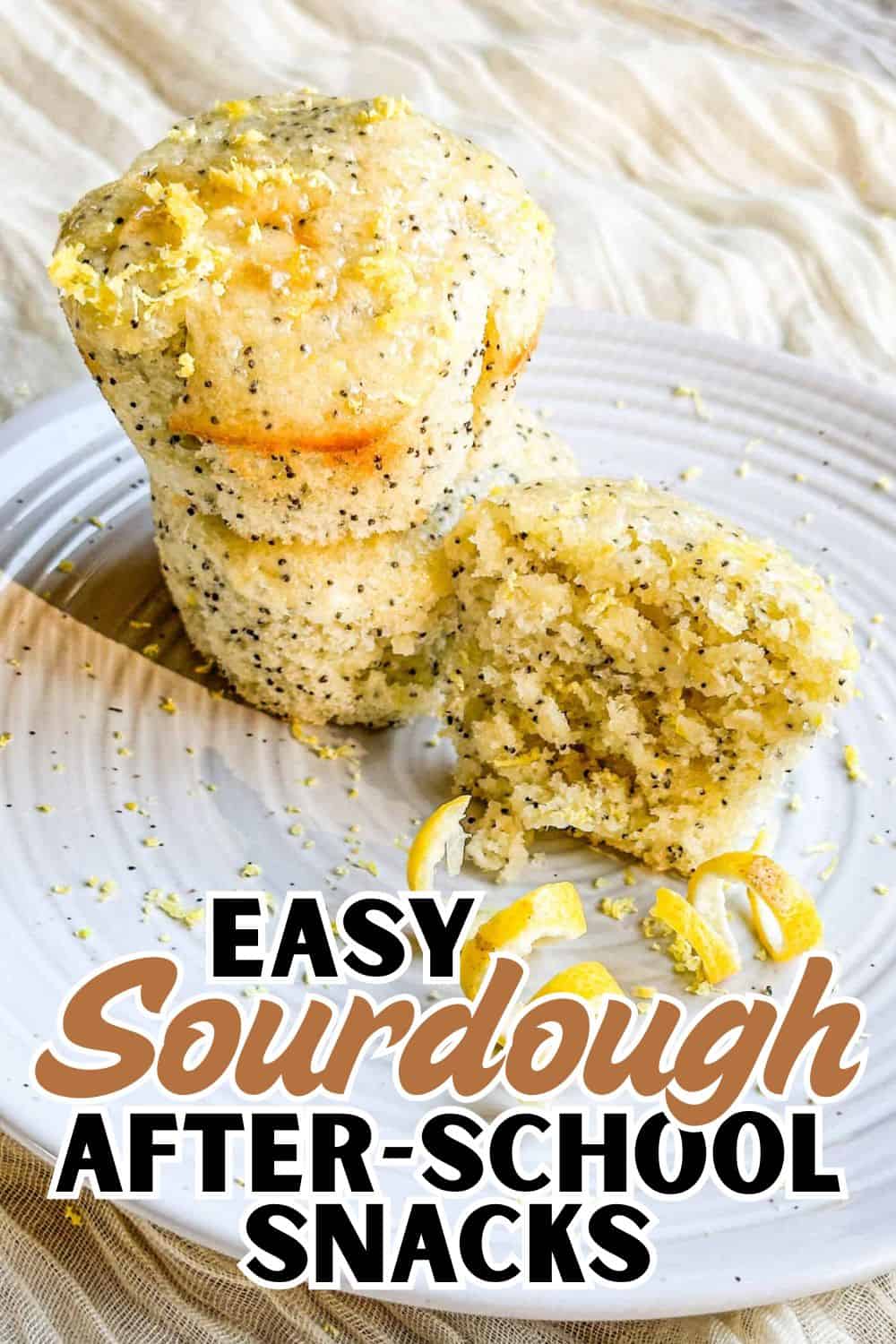 Freshly baked sourdough bread rolls with a golden crust and soft interior.