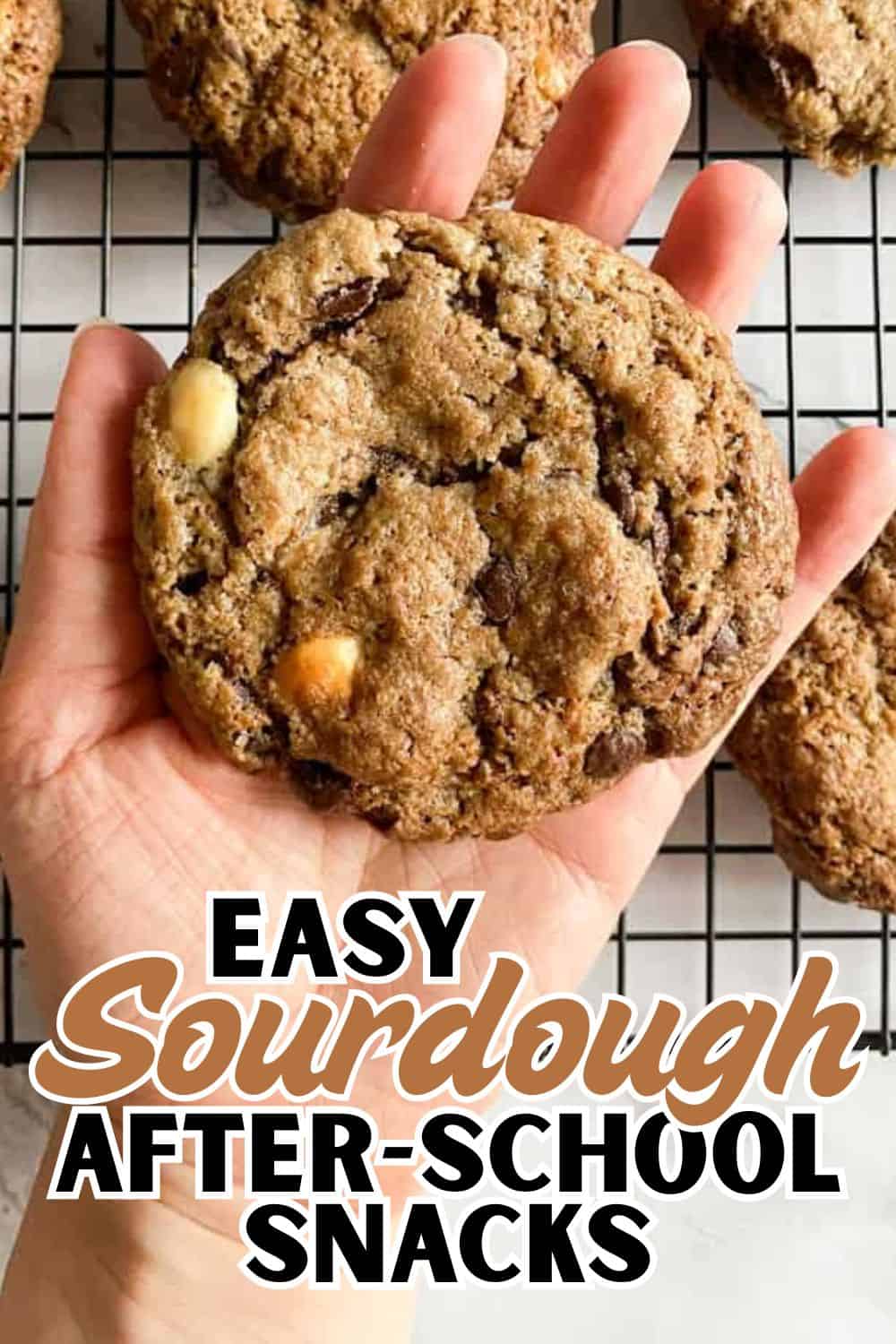 Close-up of a hand holding a freshly baked sourdough cookie with chocolate chips on a cooling rack.