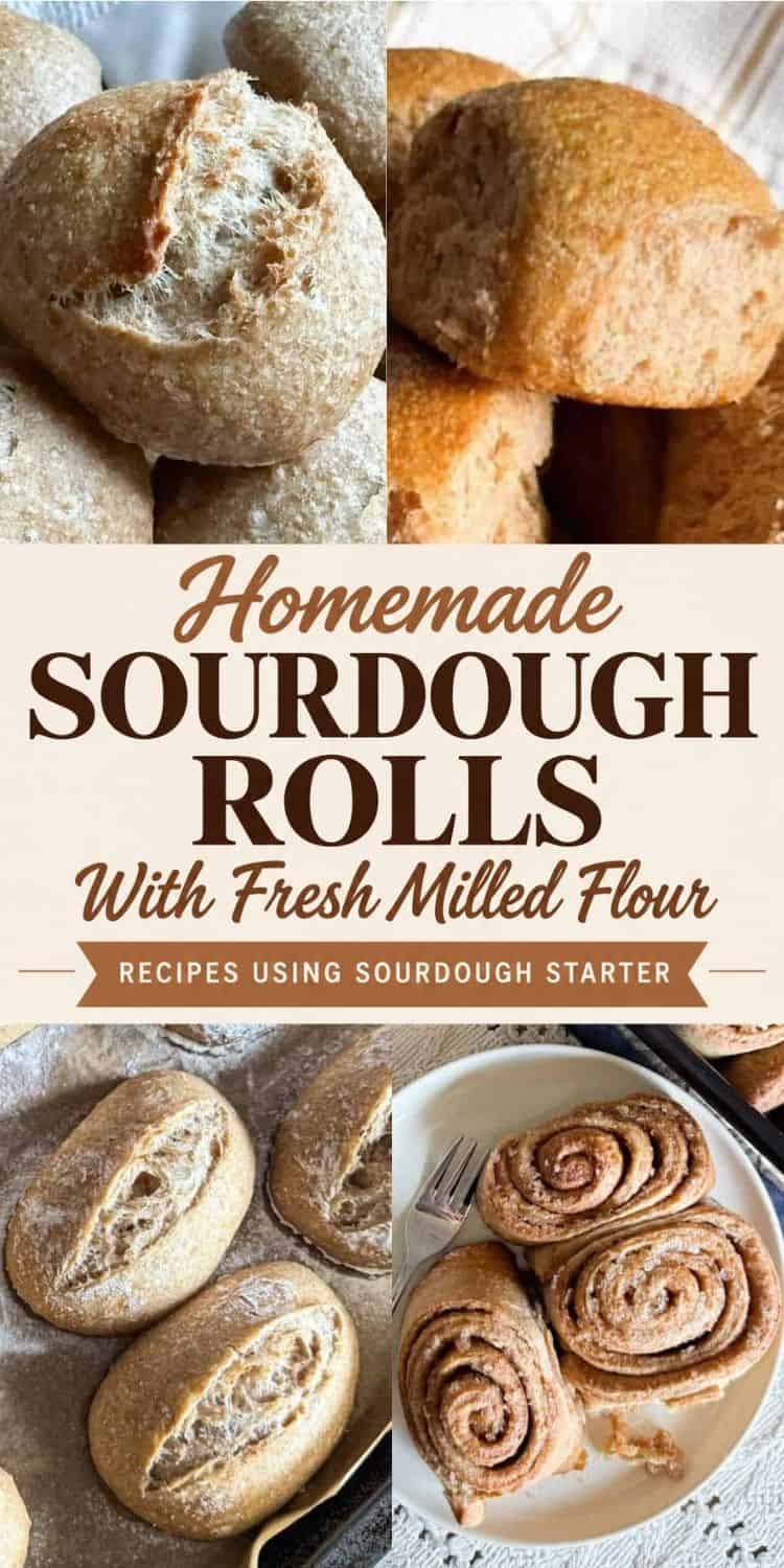 Freshly baked sourdough rolls made with homemade flour and cinnamon rolls.