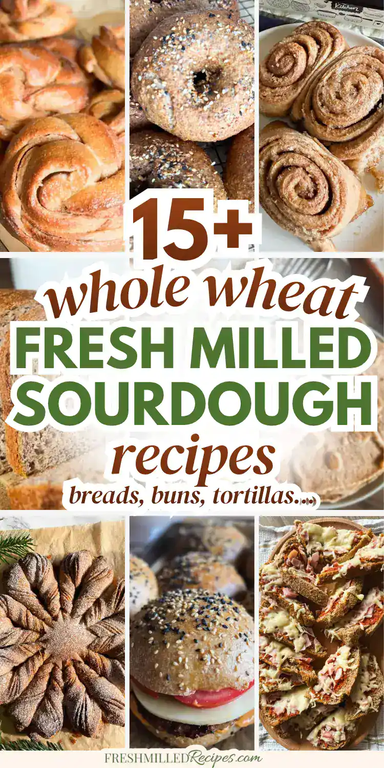 Assorted whole grain sourdough baked goods including bread, buns, and tortillas.