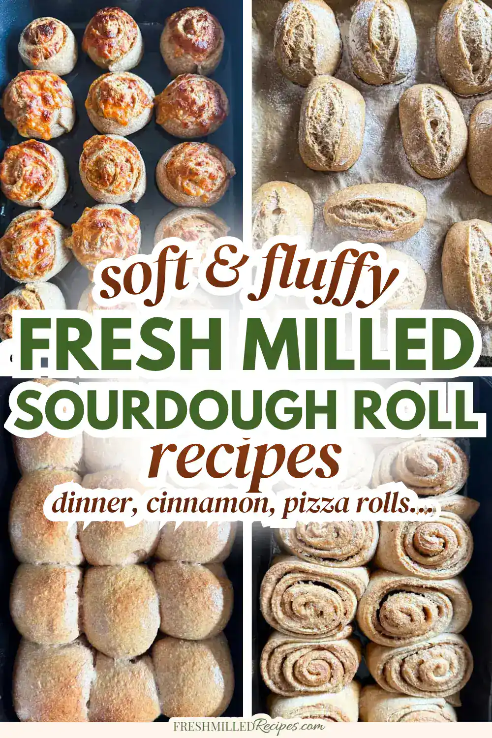 Freshly baked sourdough rolls with a golden crust and soft interior.