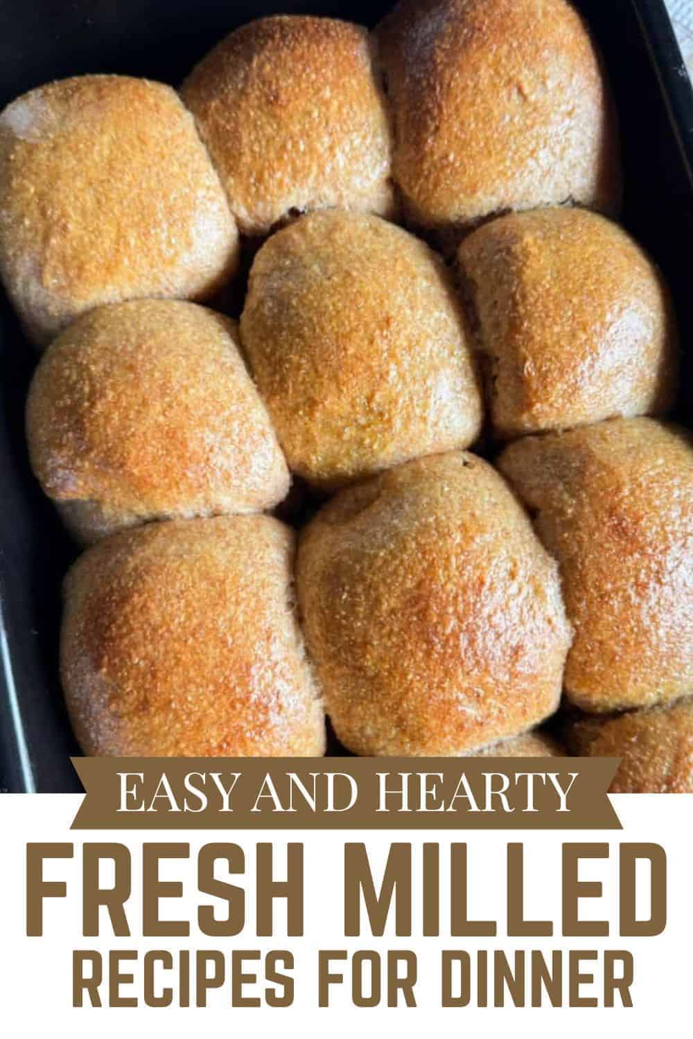 Freshly baked bread rolls made with fresh milled grains, perfect for a hearty dinner.