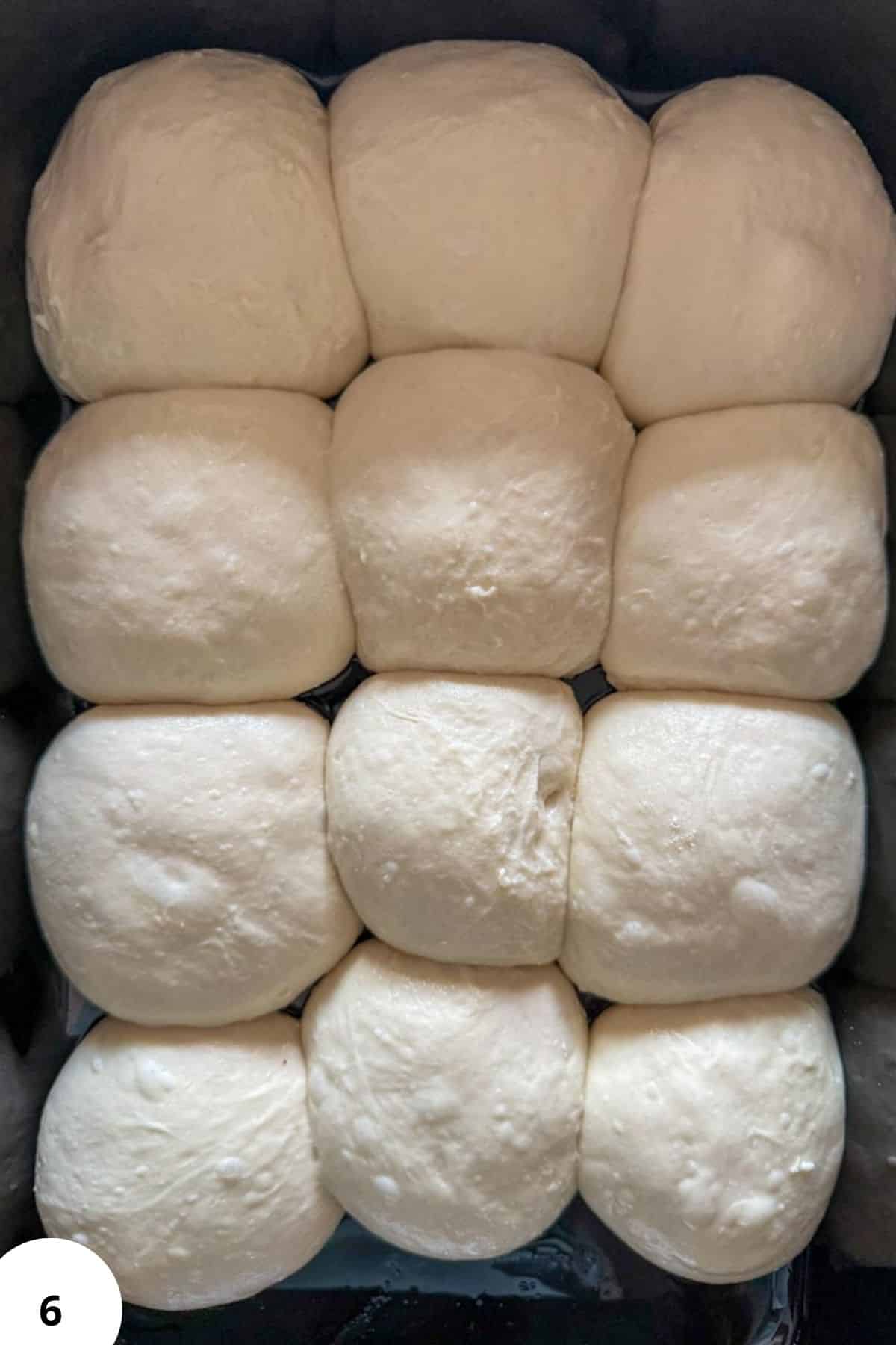 Dough balls for bread, prepared for fermentation, showing smooth, round surfaces.