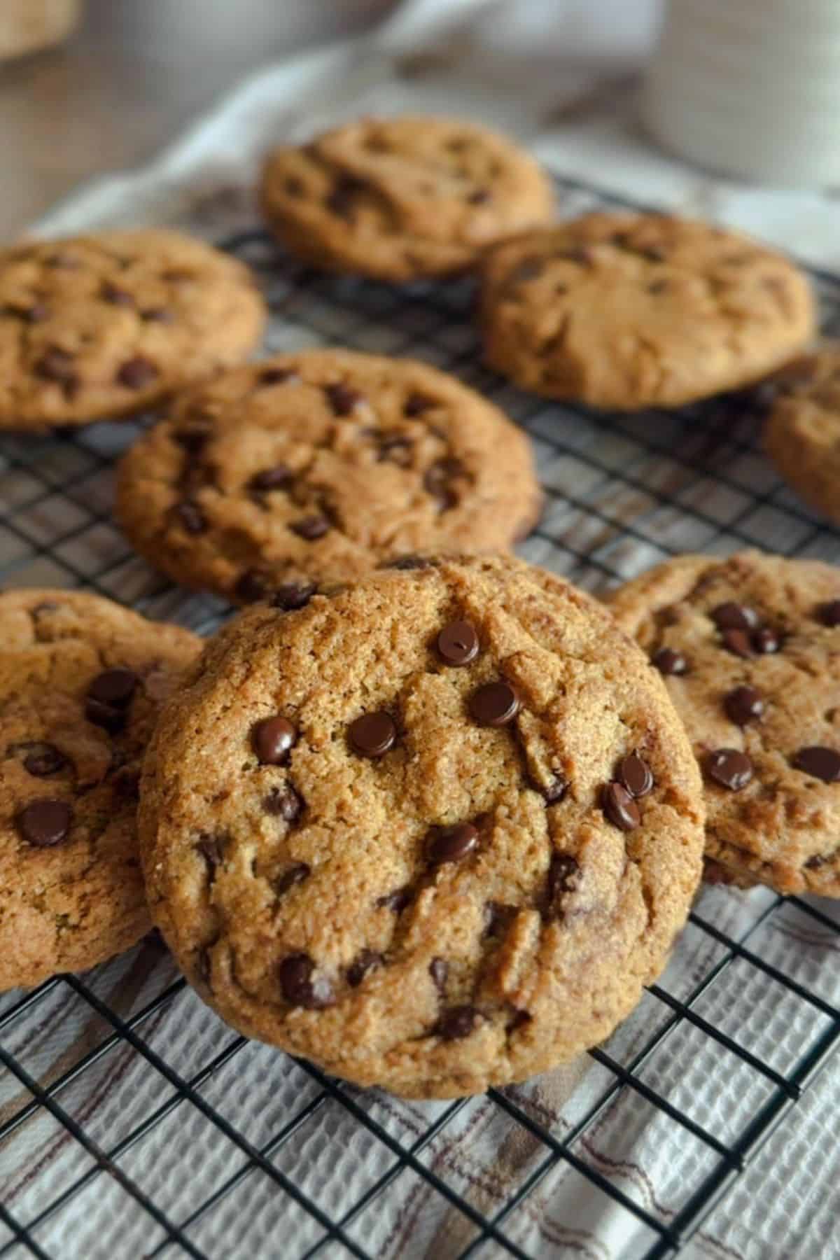 Close-up of soft, chewy chocolate chip cookies on a cooling rack.