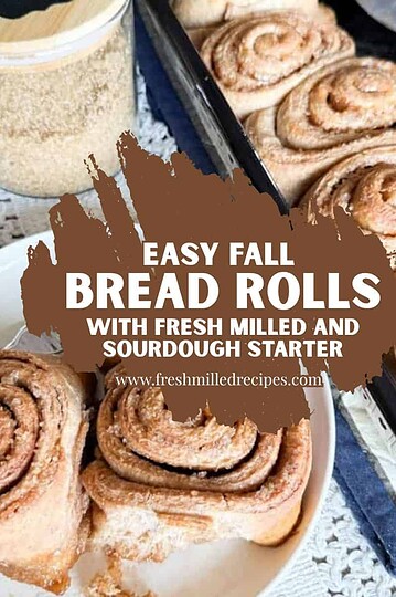 Freshly baked fall bread rolls made with sourdough starter and milled flour.